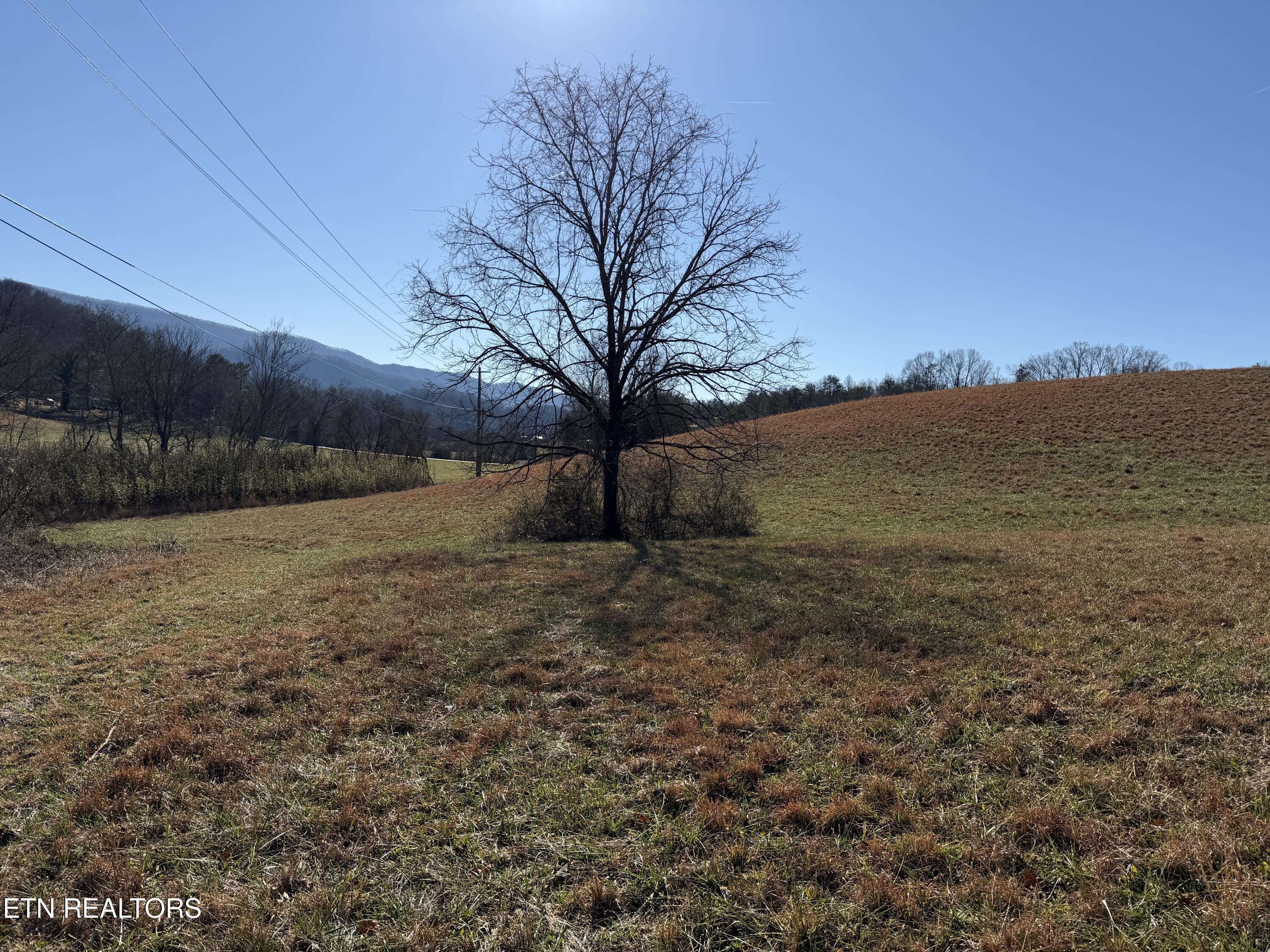 1210 Dupont Road Seymour, TN 37865 - Photo 14 of 44 IMG_2148