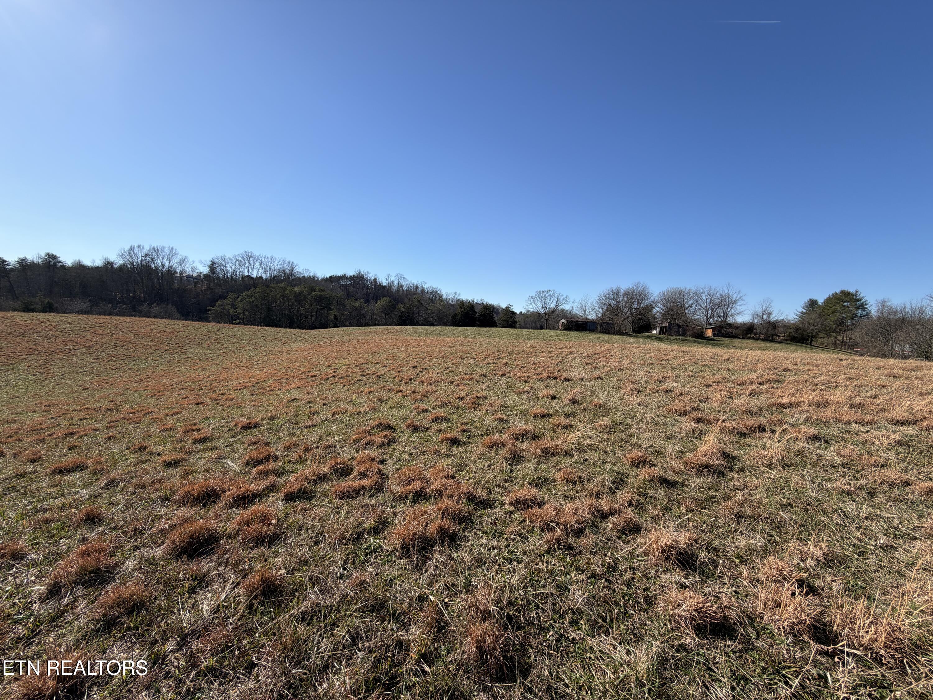 1210 Dupont Road Seymour, TN 37865 - Photo 18 of 44 IMG_2153