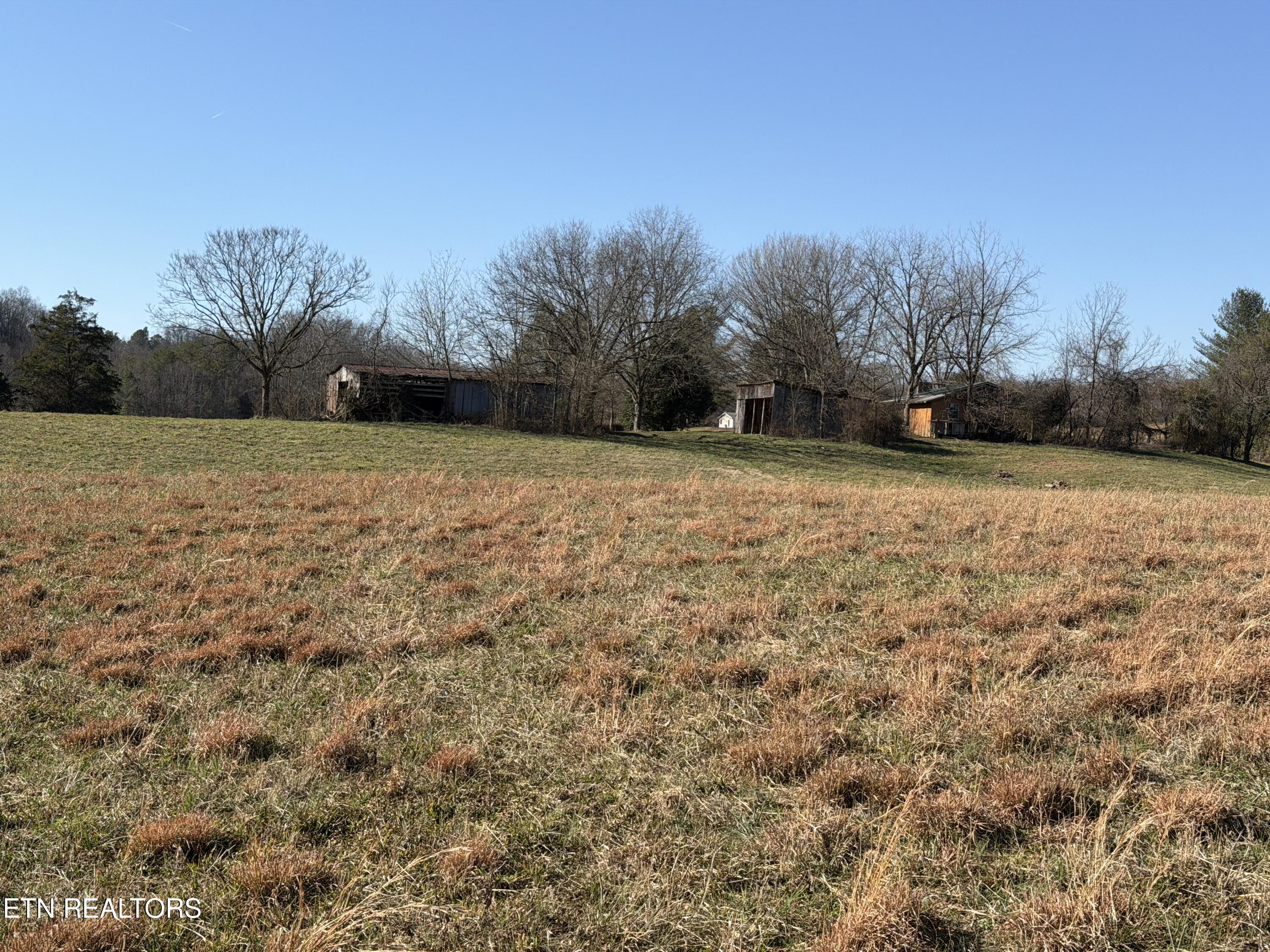 1210 Dupont Road Seymour, TN 37865 - Photo 19 of 44 IMG_2154