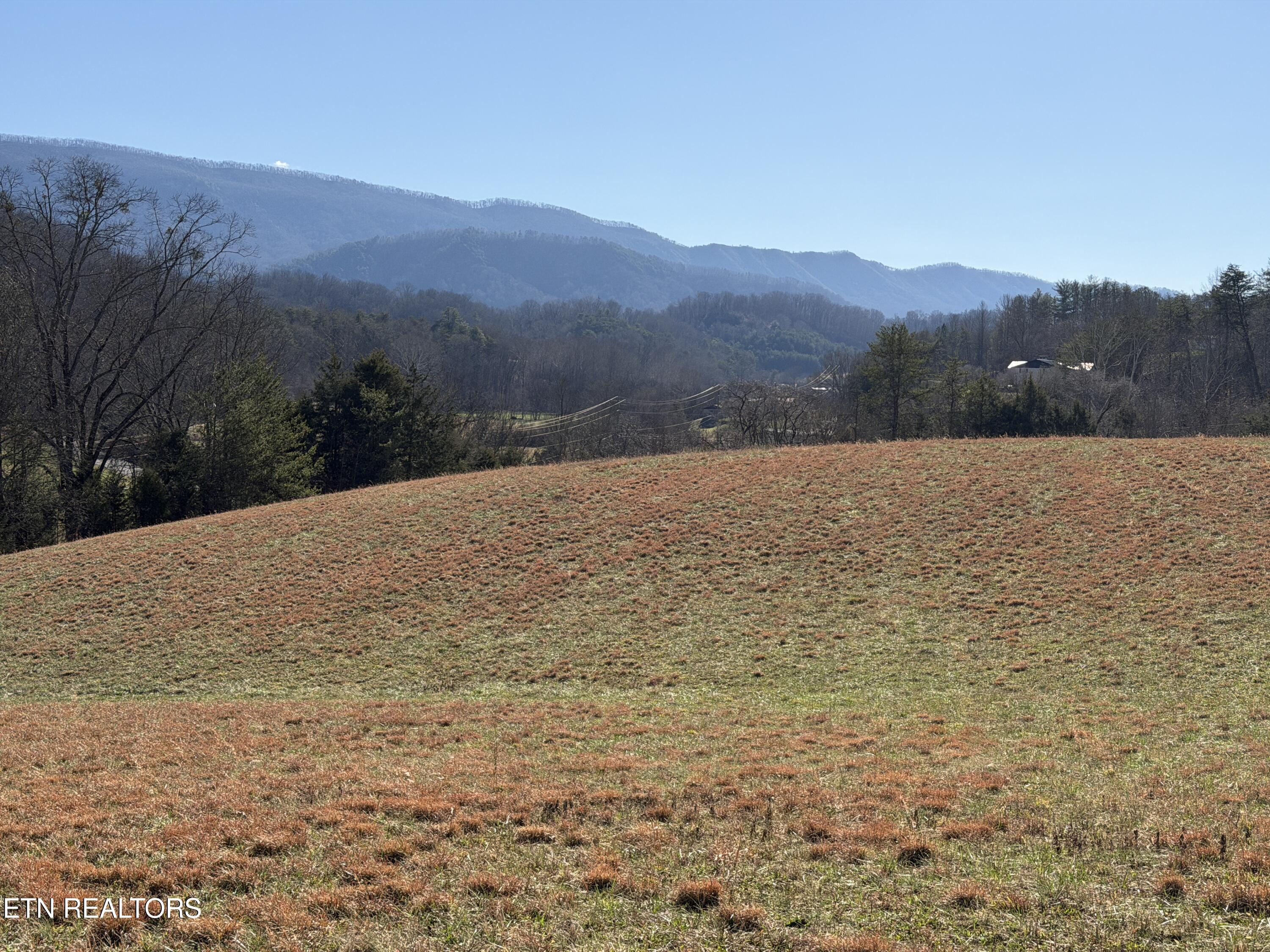 1210 Dupont Road Seymour, TN 37865 - Photo 20 of 44 IMG_2155