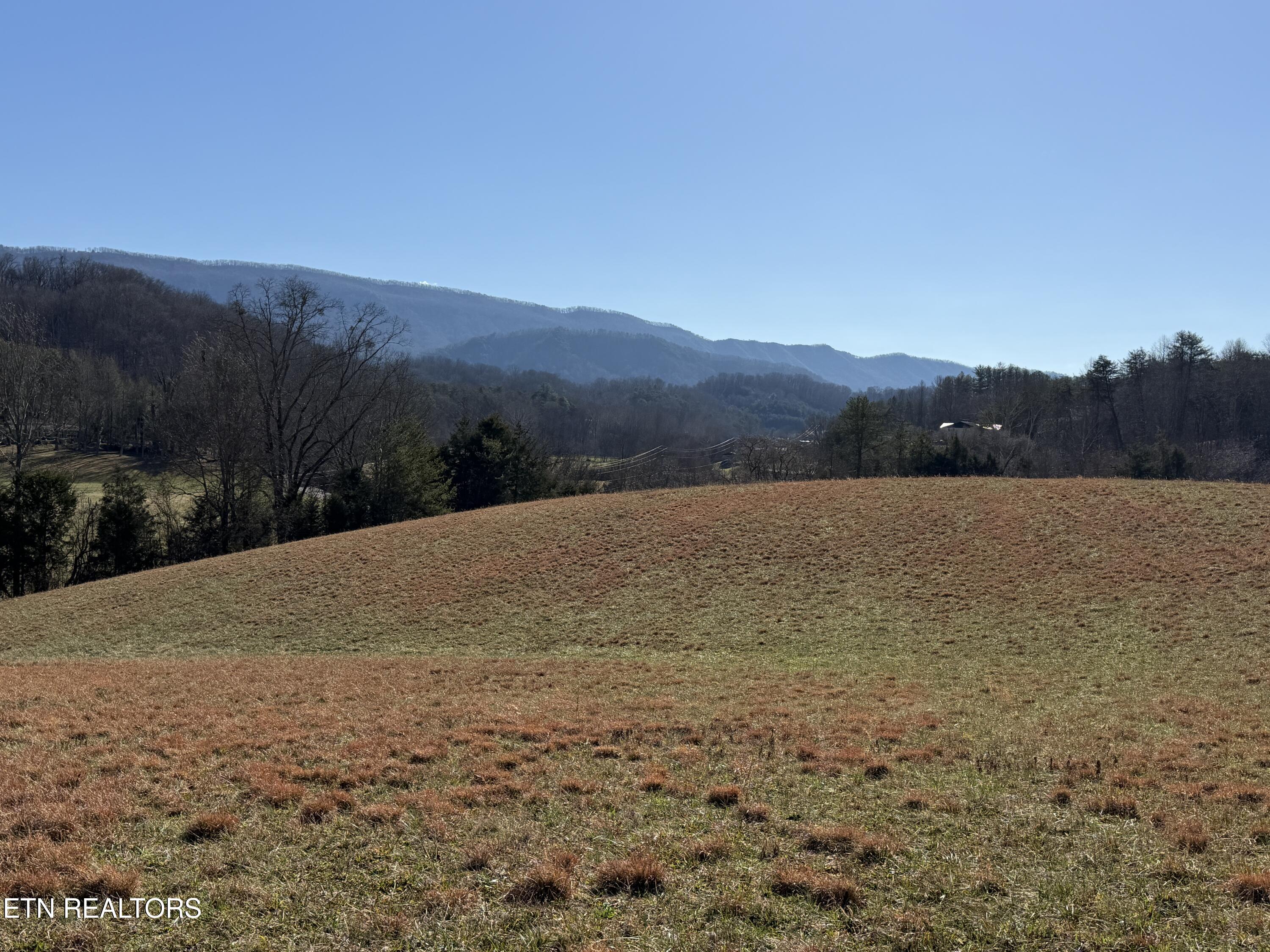 1210 Dupont Road Seymour, TN 37865 - Photo 21 of 44 IMG_2157