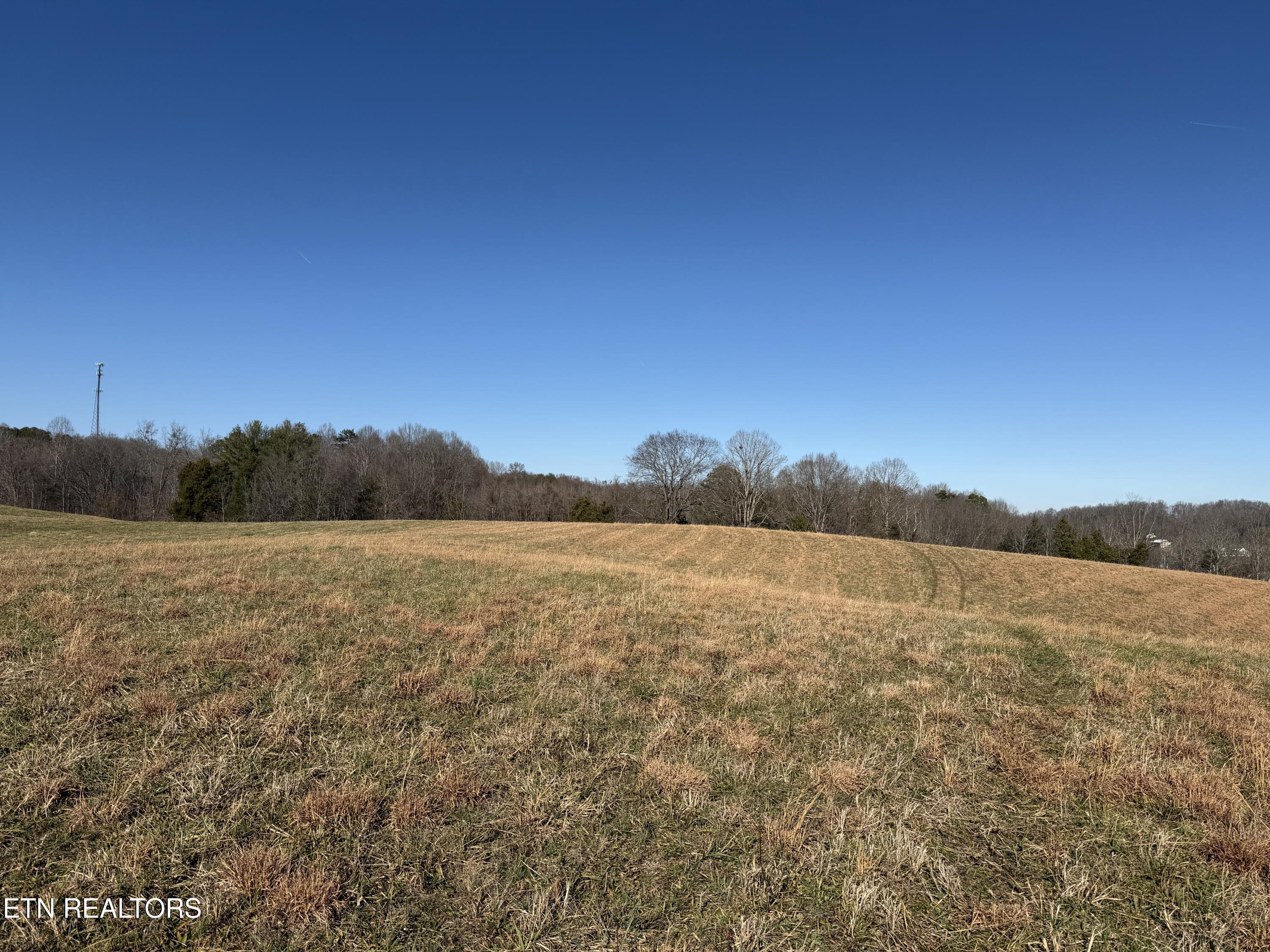 1210 Dupont Road Seymour, TN 37865 - Photo 23 of 44 IMG_2159