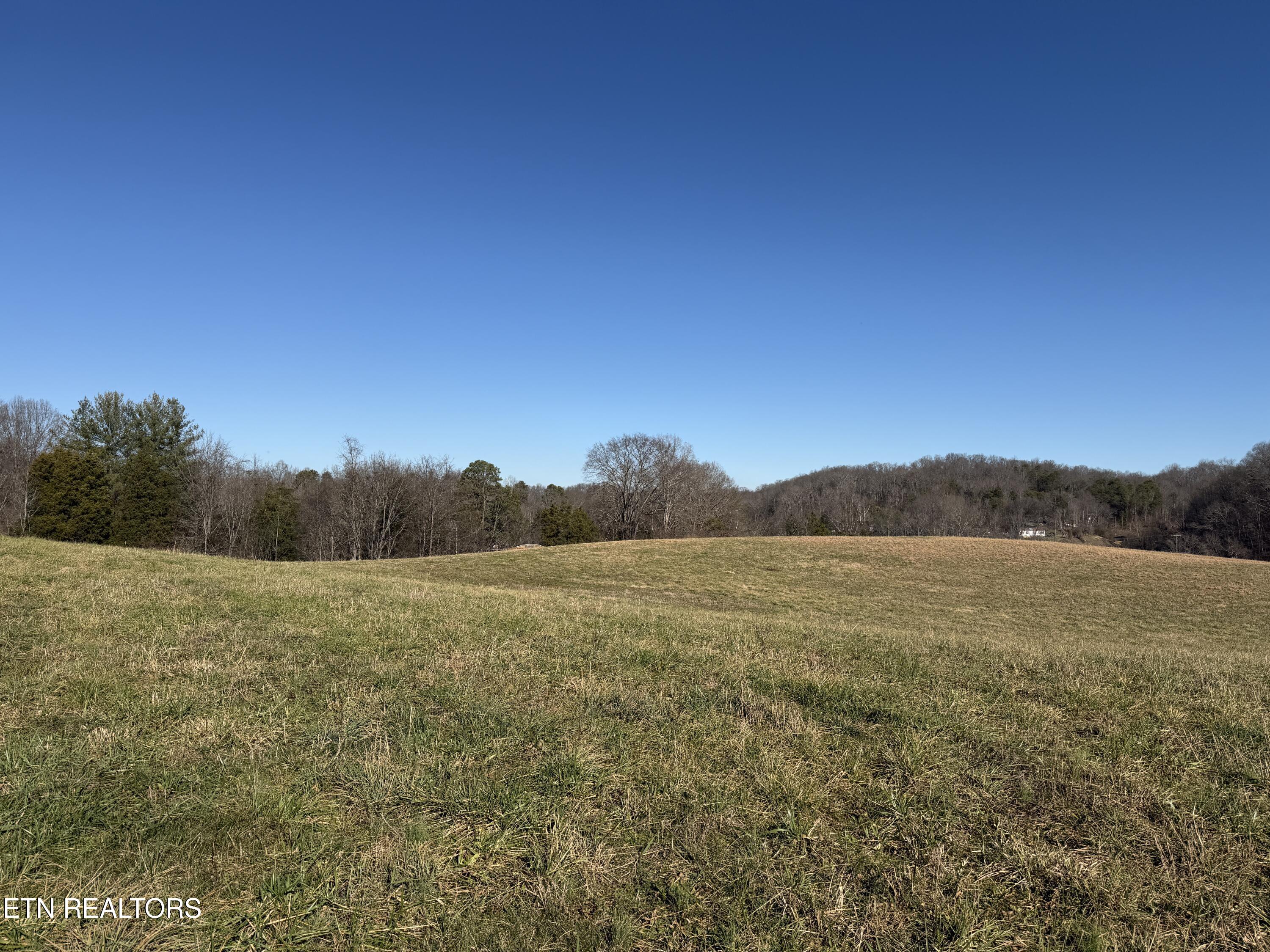 1210 Dupont Road Seymour, TN 37865 - Photo 25 of 44 IMG_2161