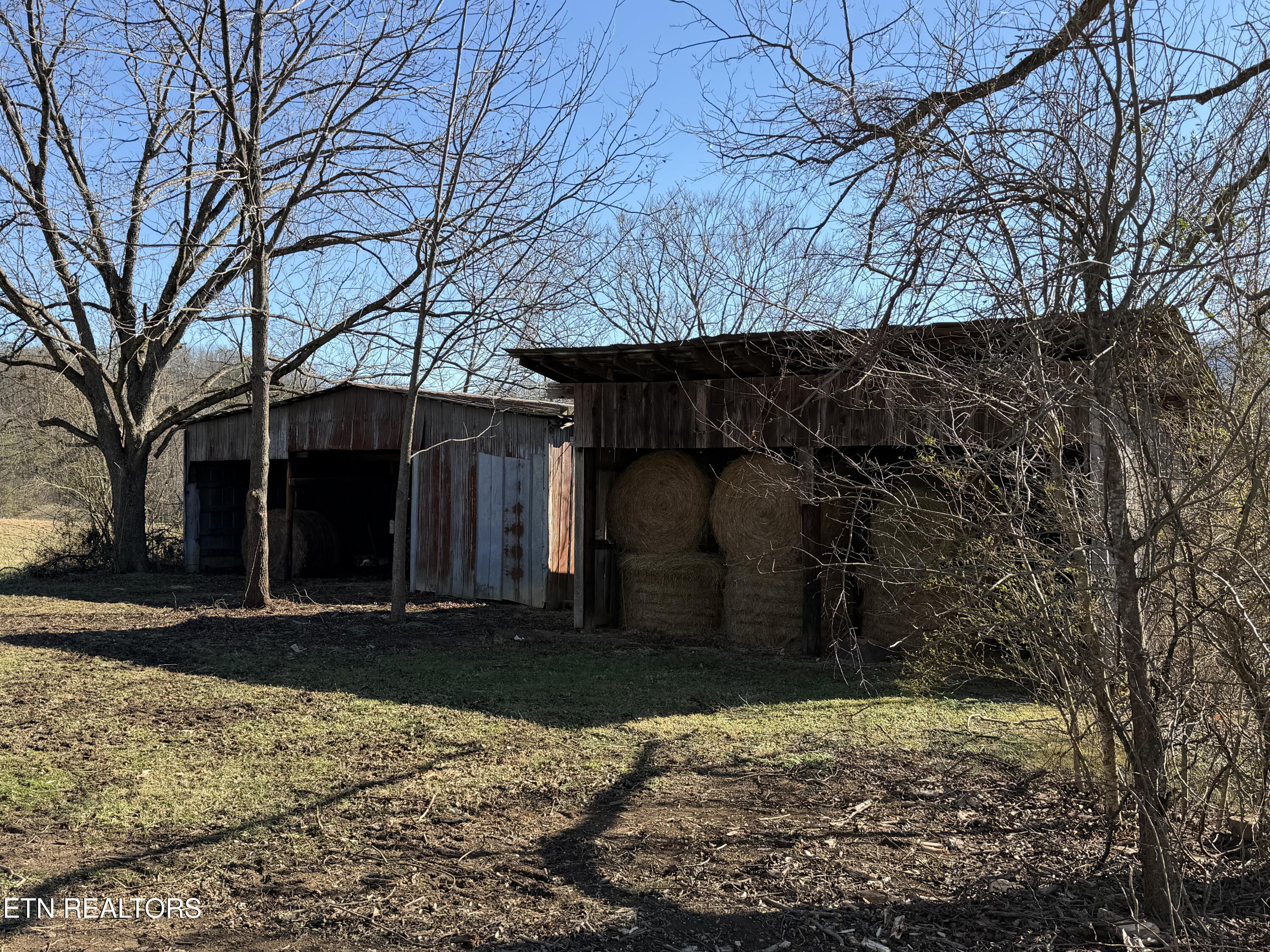 1210 Dupont Road Seymour, TN 37865 - Photo 28 of 44 IMG_2164