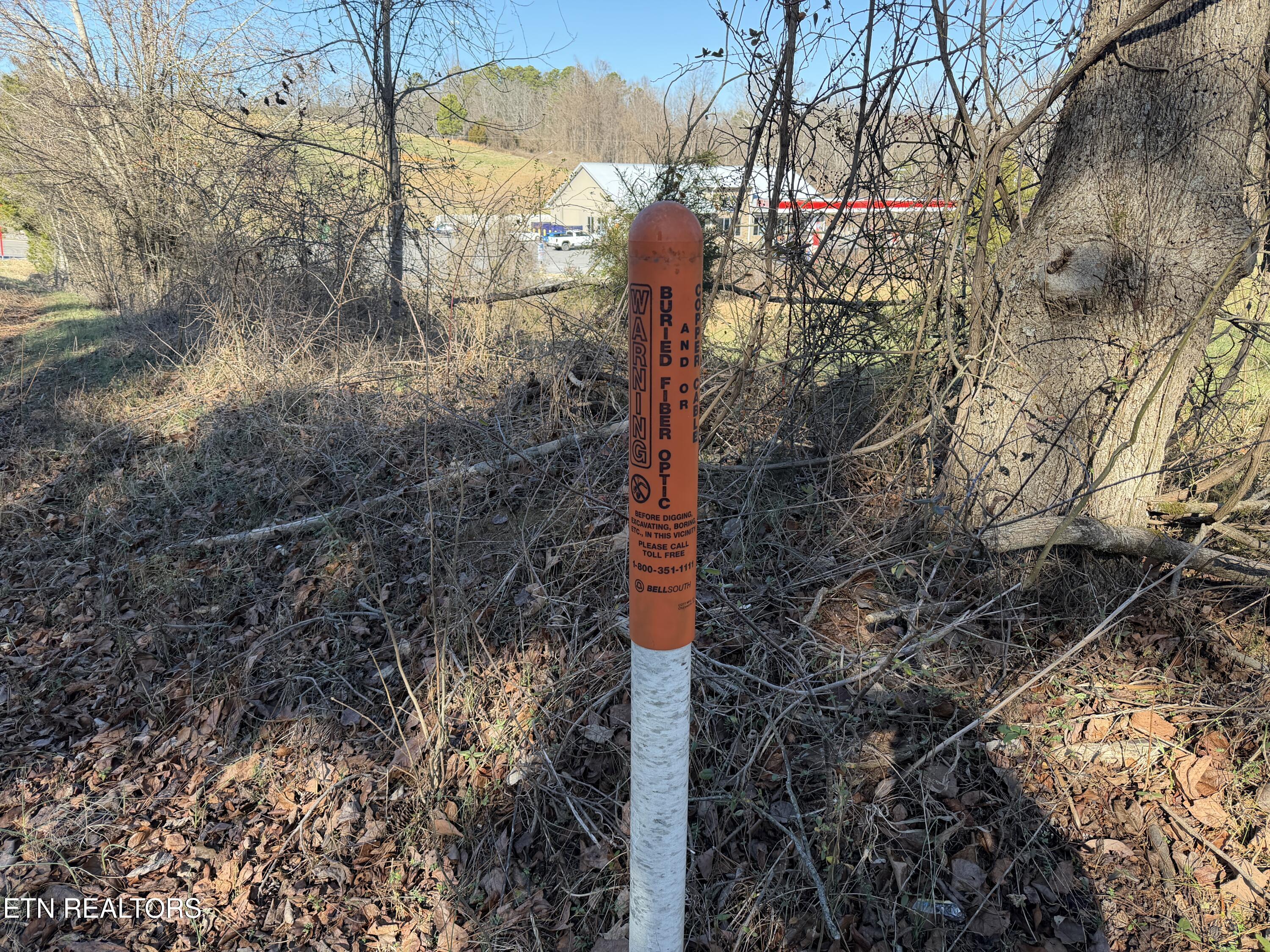 1210 Dupont Road Seymour, TN 37865 - Photo 3 of 44 IMG_2133