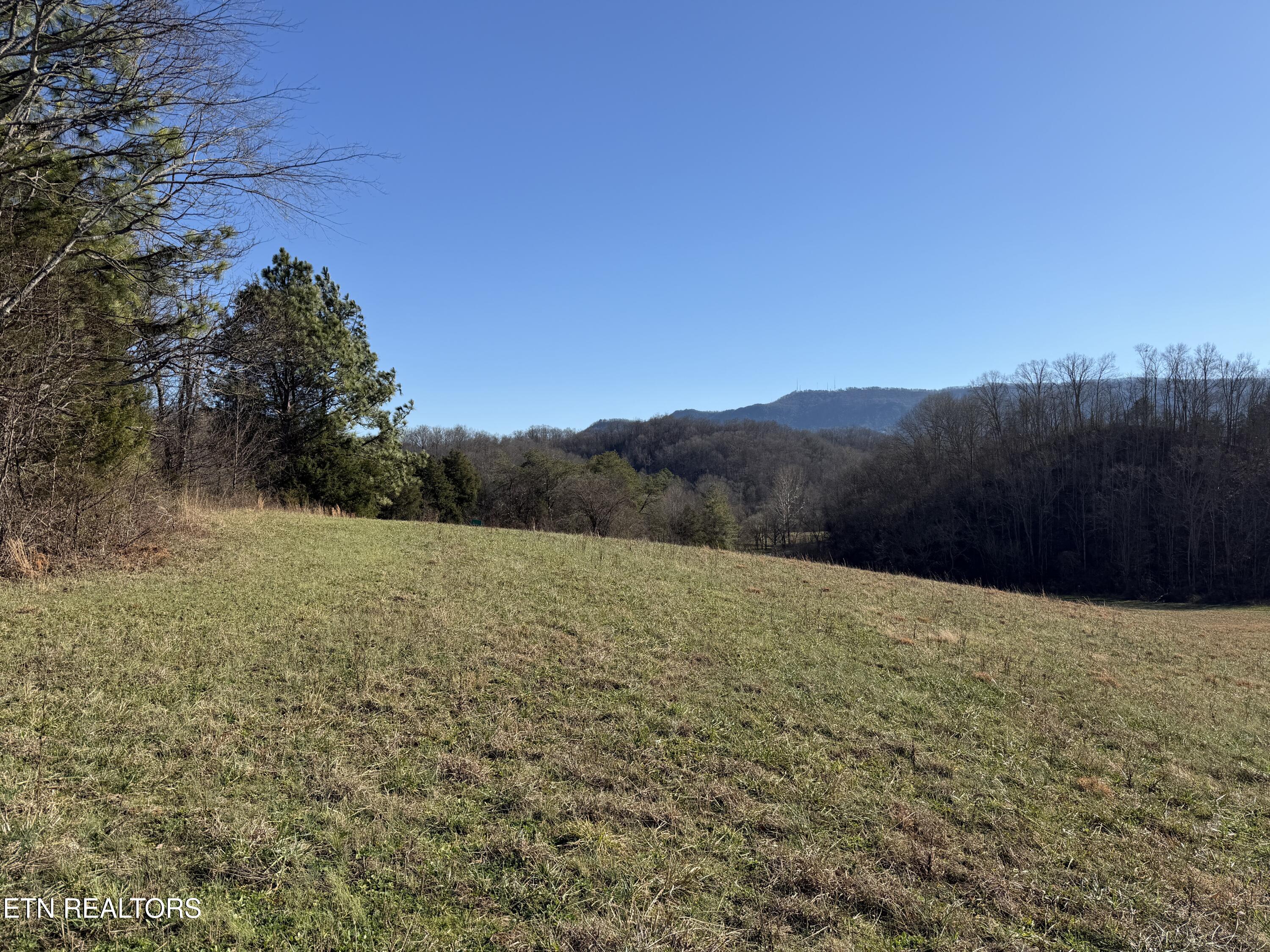 1210 Dupont Road Seymour, TN 37865 - Photo 35 of 44 IMG_2171