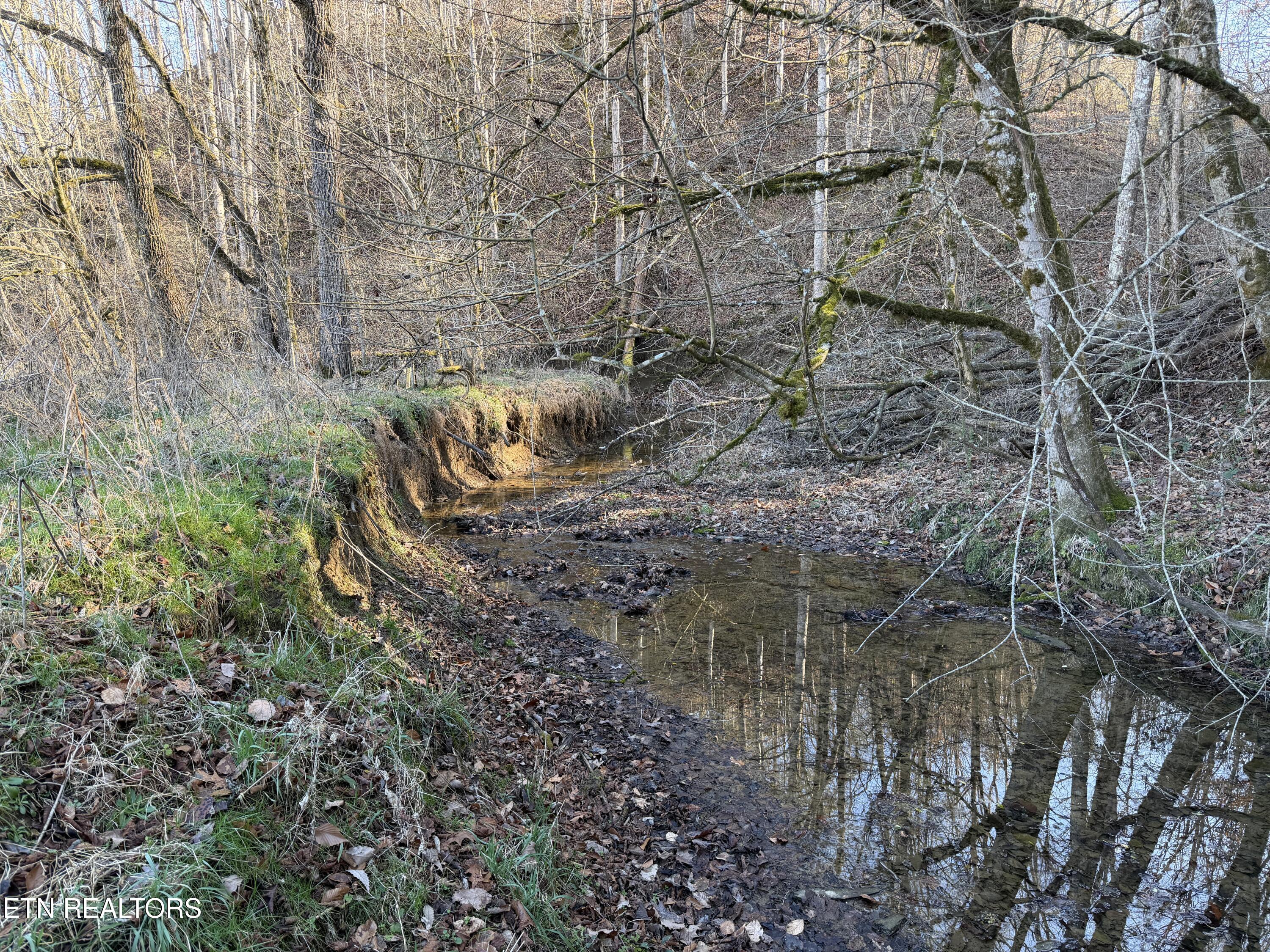 1210 Dupont Road Seymour, TN 37865 - Photo 40 of 44 IMG_2177