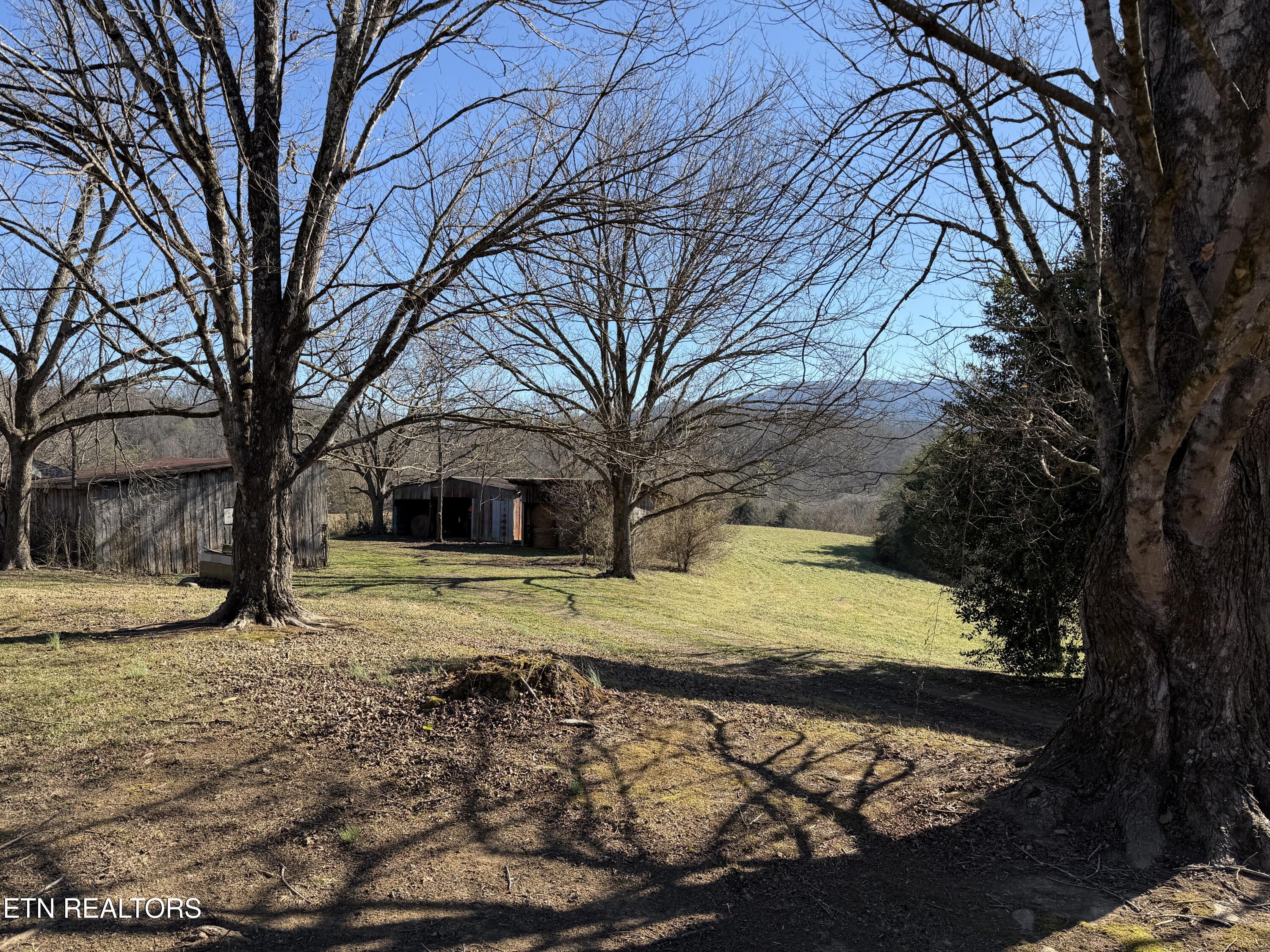 1210 Dupont Road Seymour, TN 37865 - Photo 5 of 44 IMG_2138