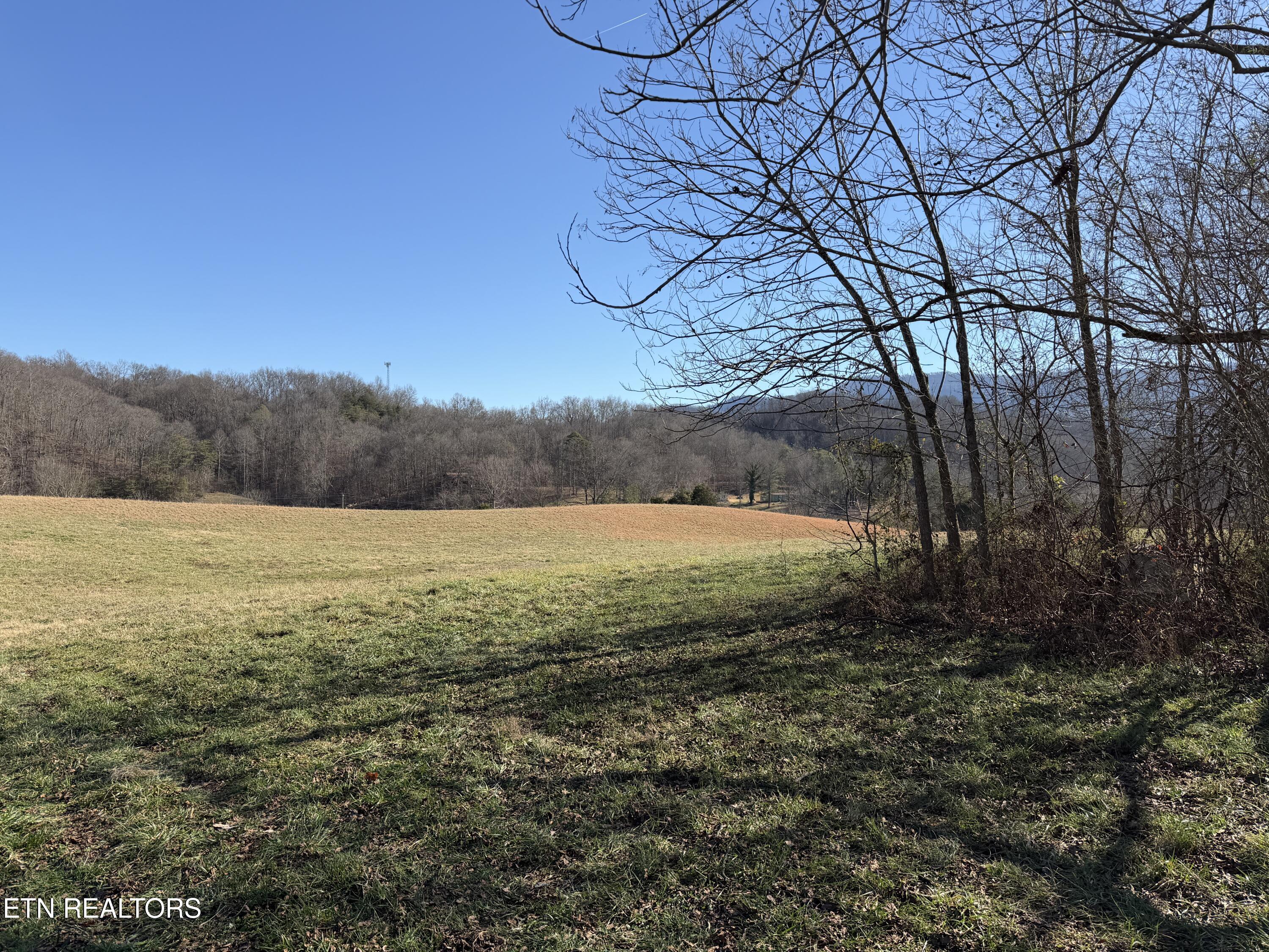 1210 Dupont Road Seymour, TN 37865 - Photo 6 of 44 IMG_2140