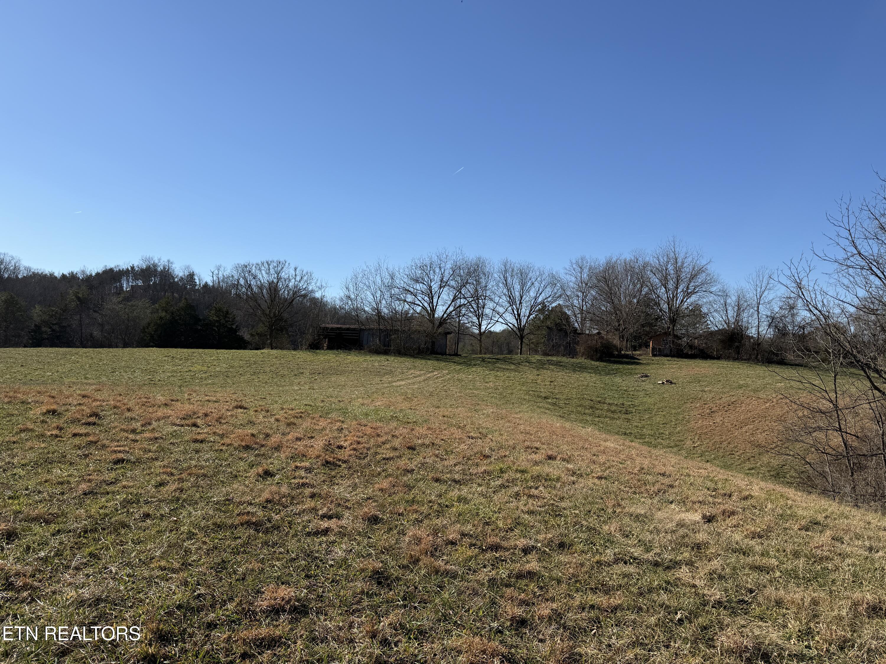 1210 Dupont Road Seymour, TN 37865 - Photo 7 of 44 IMG_2141