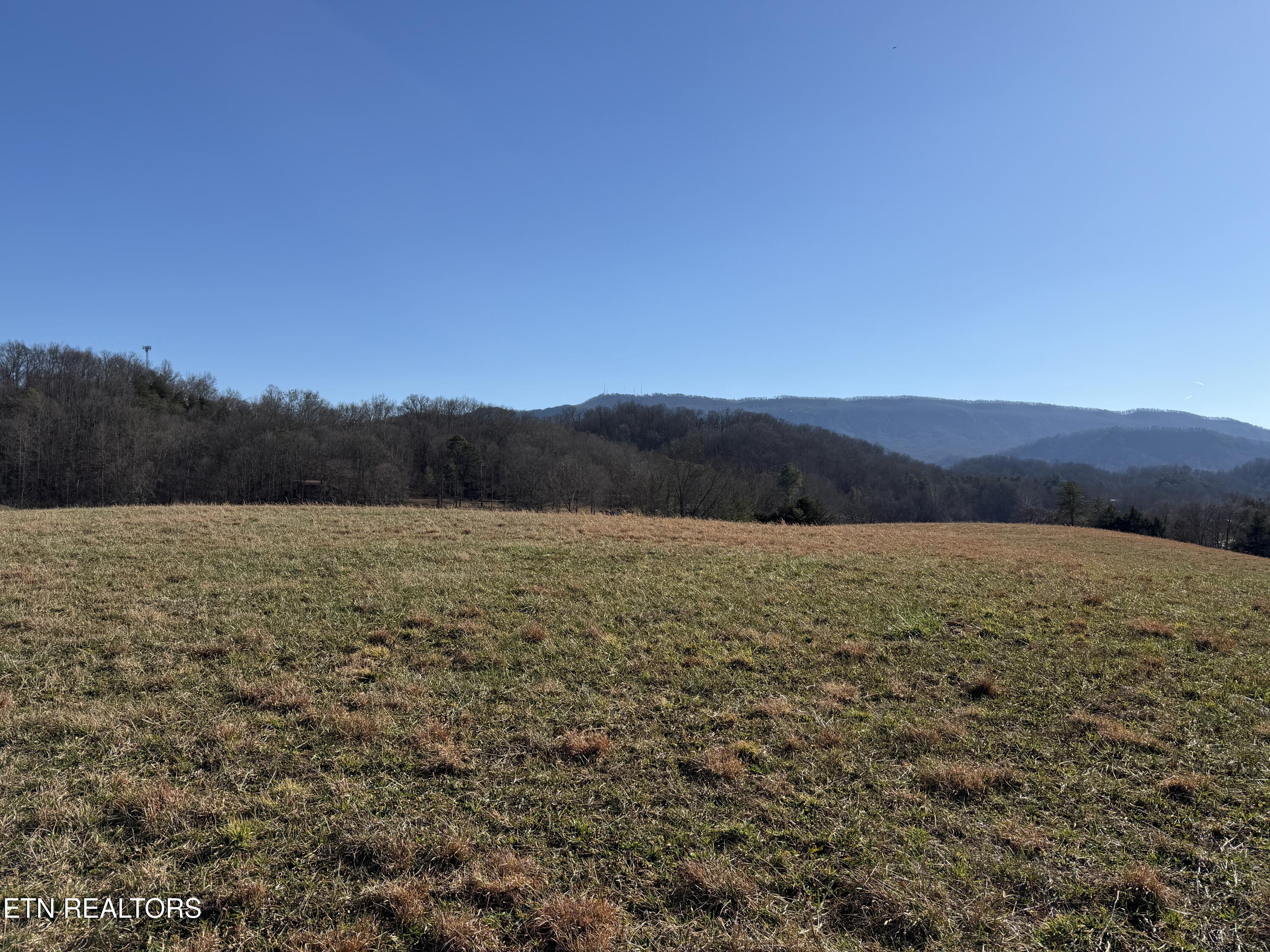 1210 Dupont Road Seymour, TN 37865 - Photo 8 of 44 IMG_2142