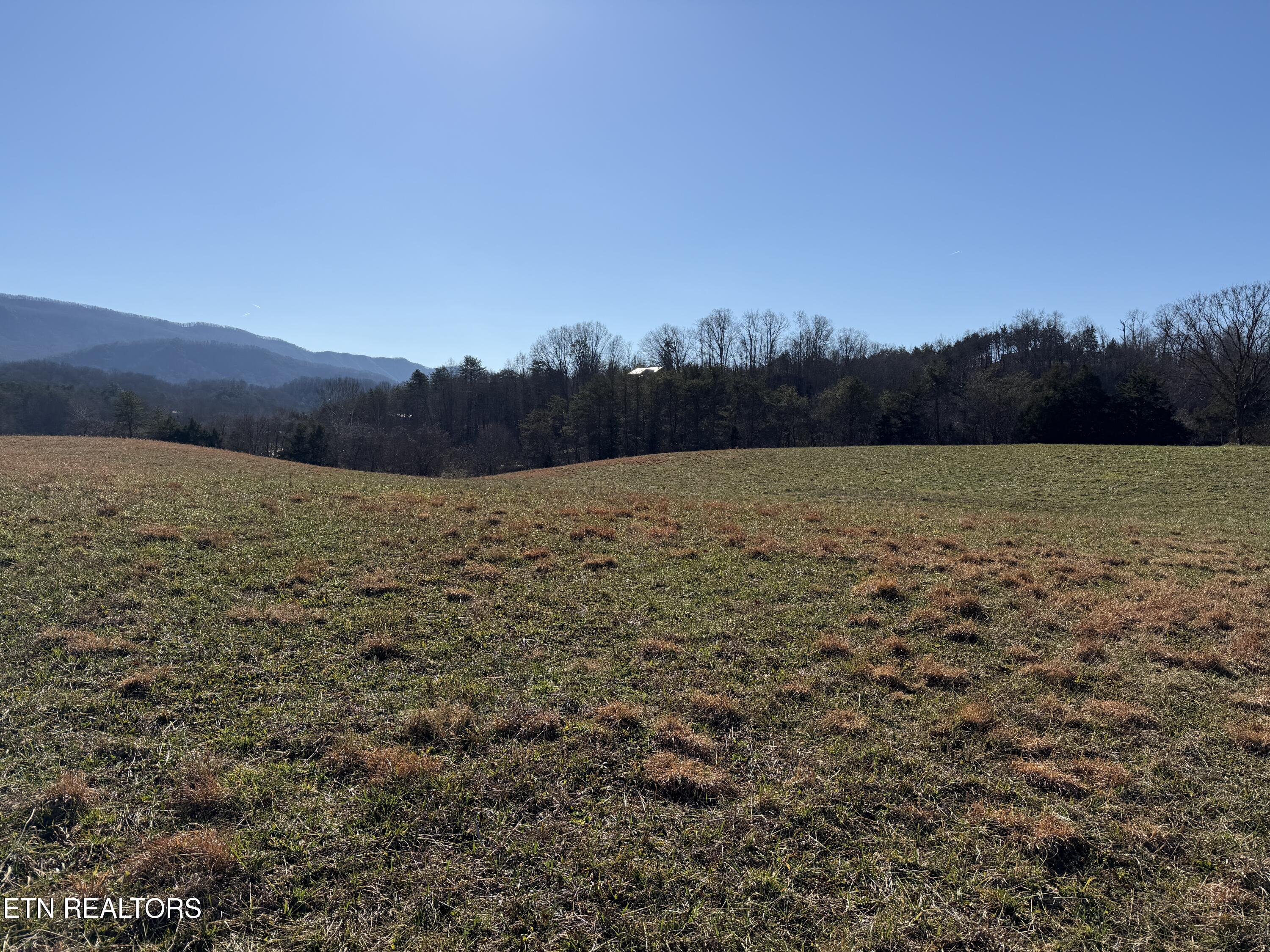 1210 Dupont Road Seymour, TN 37865 - Photo 9 of 44 IMG_2143