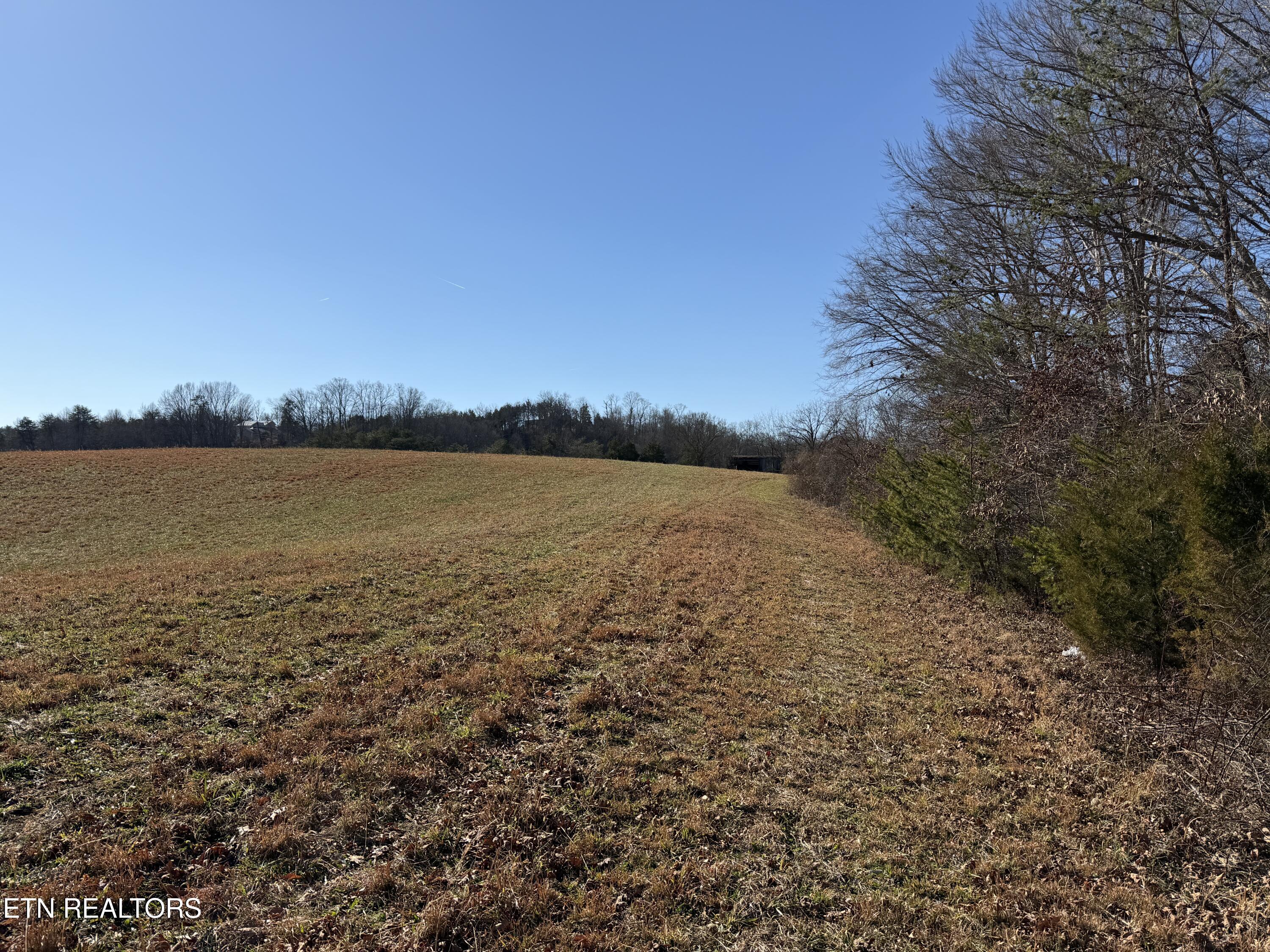 1210 Dupont Road Seymour, TN 37865 - Photo 10 of 44 IMG_2144