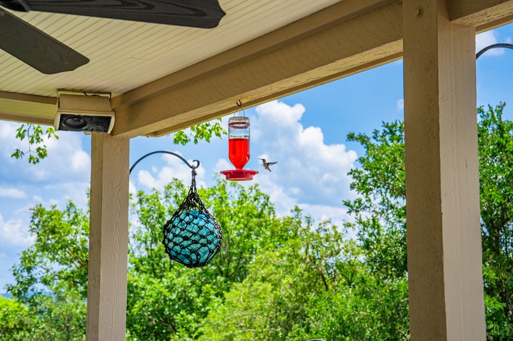 407 Spring Mill Drive Kerrville, TX 78028 - Photo 23 of 38