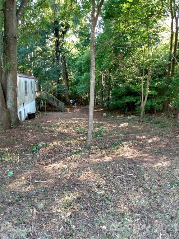 843 Archie Street Fort Mill, SC 29715 - Photo 12 of 18 a backyard of a house with lots of green space