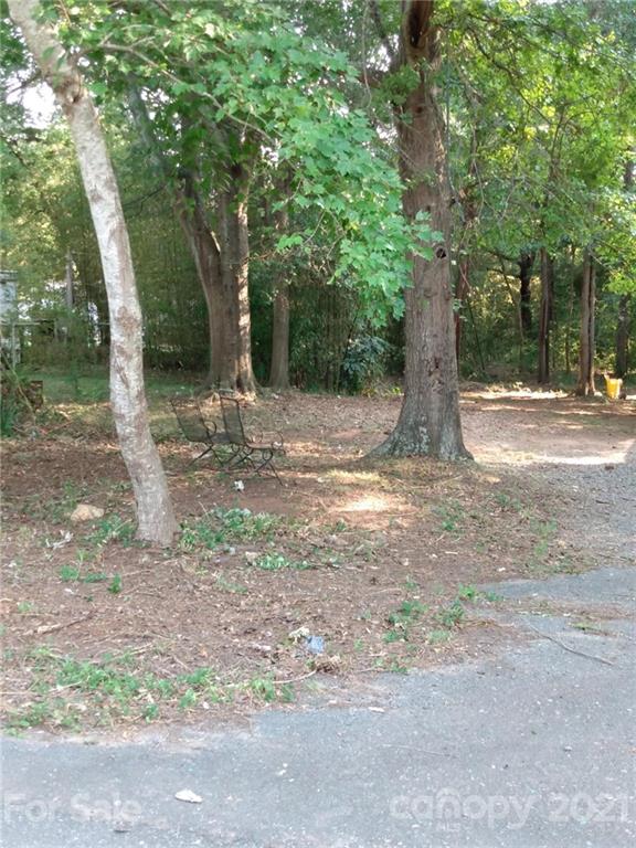 843 Archie Street Fort Mill, SC 29715 - Photo 18 of 18 a view of dirt yard with a large tree
