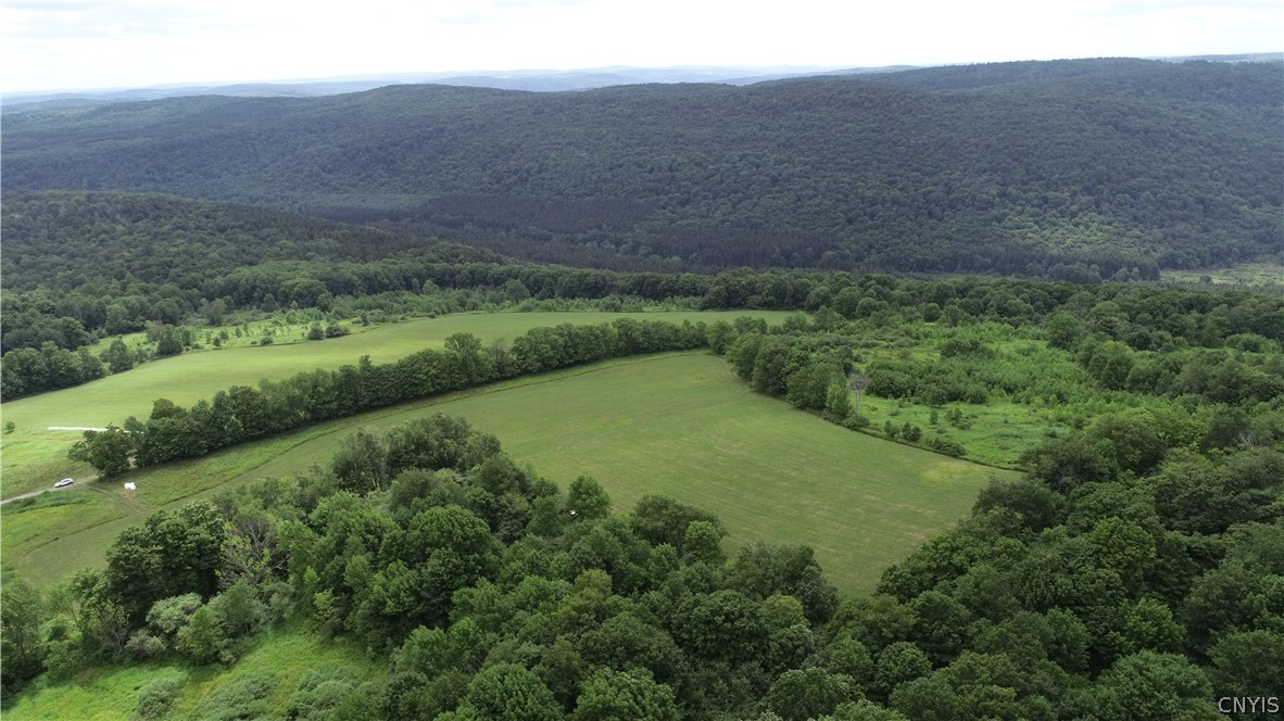 L110 Allen Hill Road Cincinnatus, NY 13040 - Photo 1 of 1 Gallery Image 1
