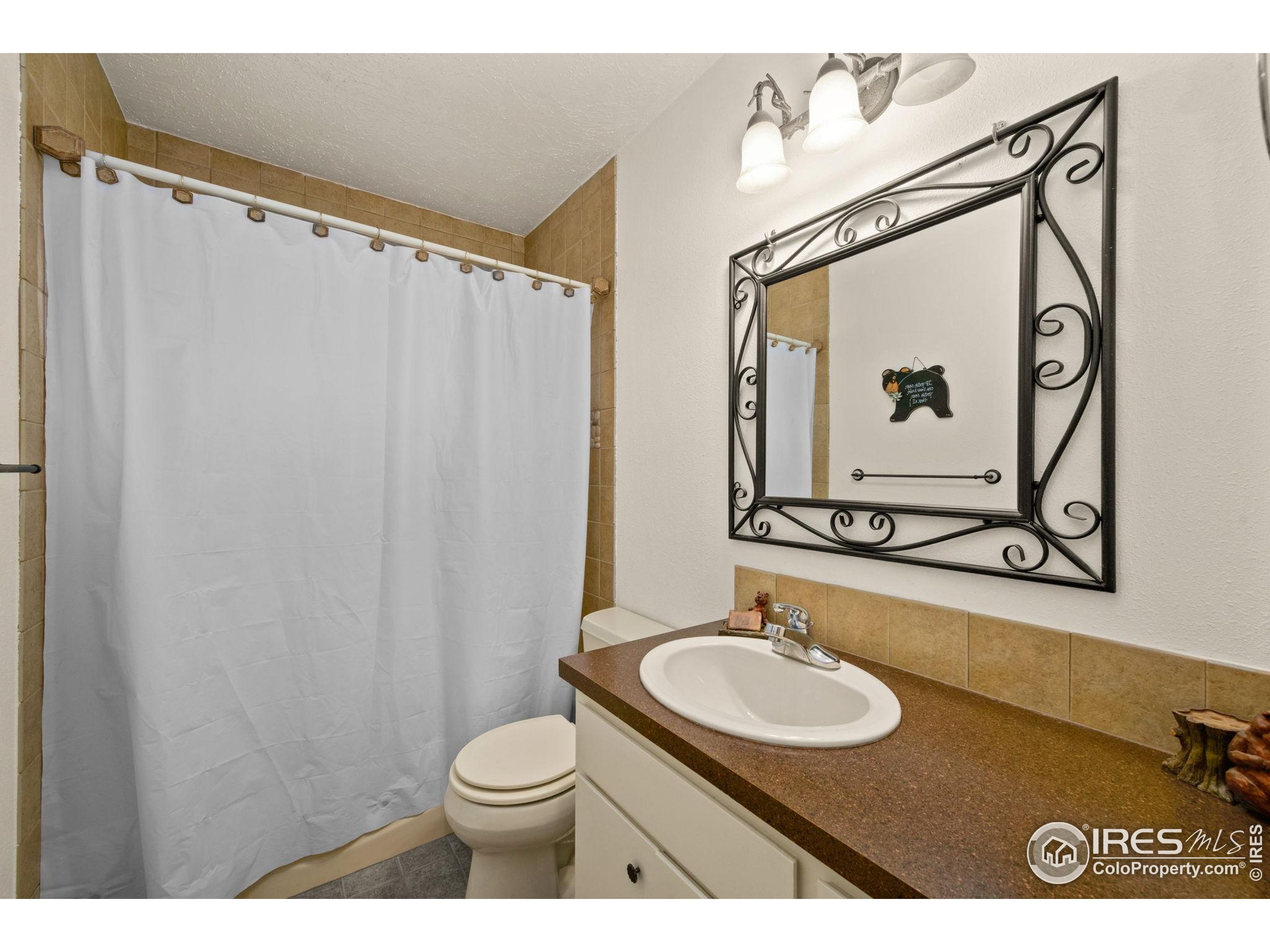 269 Cox Court Bellvue, CO 80512 - Photo 21 of 47 a bathroom with a sink toilet and mirror