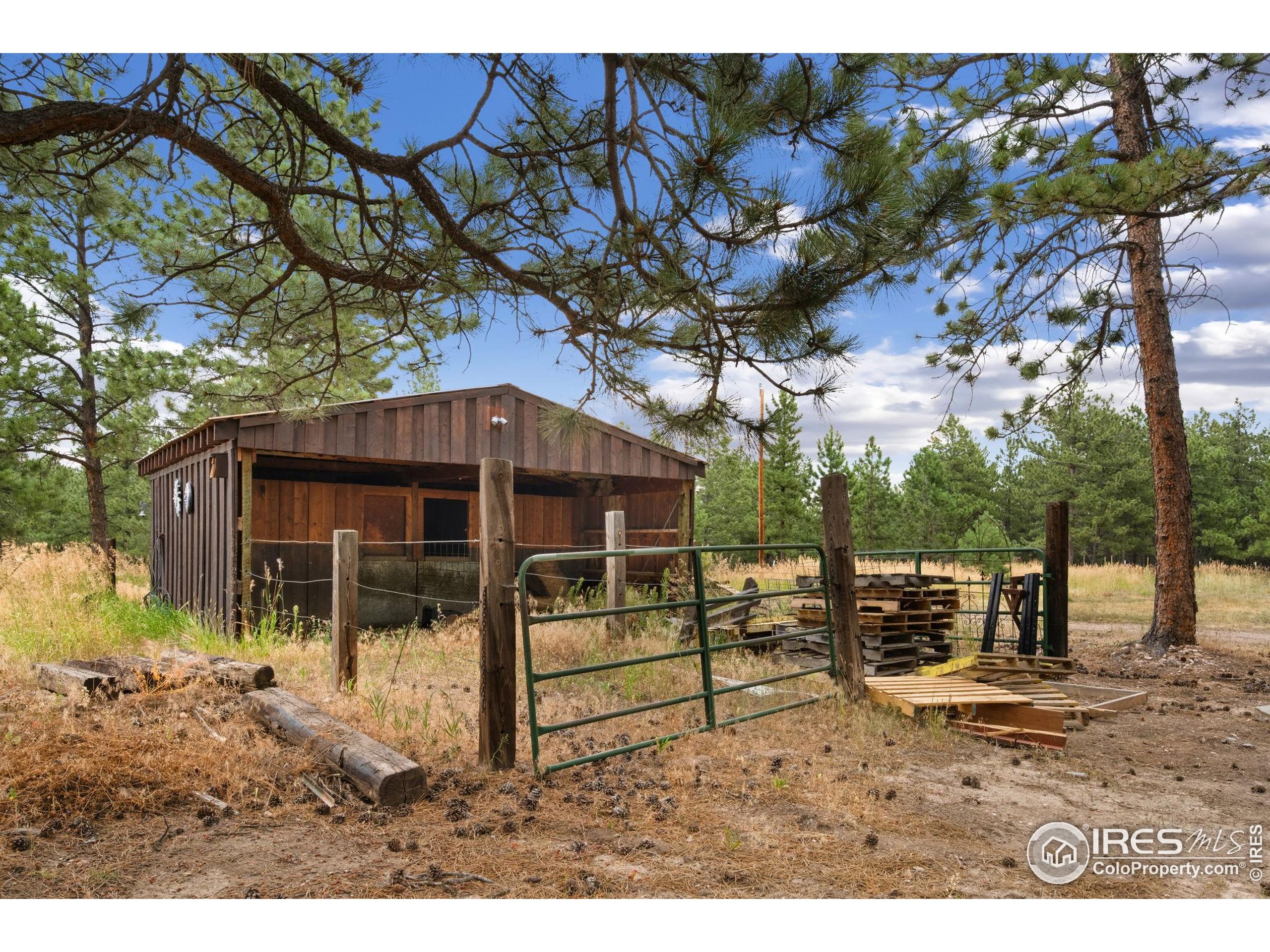 269 Cox Court Bellvue, CO 80512 - Photo 39 of 47 a backyard of a house with barbeque oven