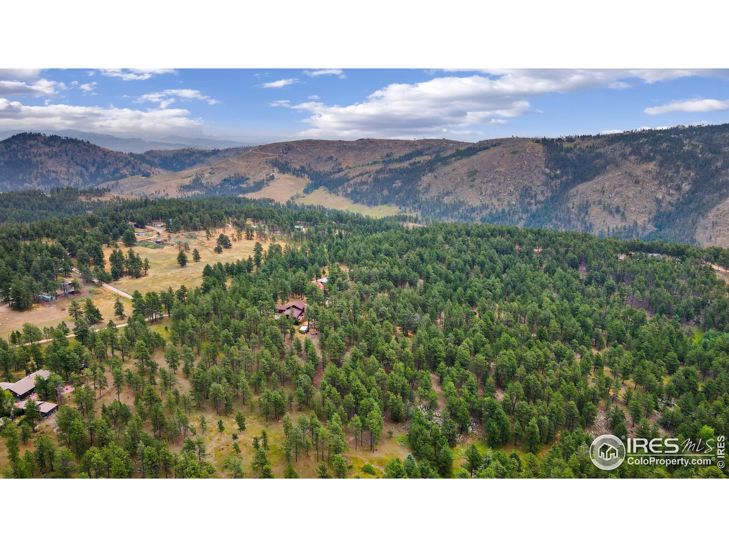 269 Cox Court Bellvue, CO 80512 - Photo 44 of 47 a black and white photo of a house