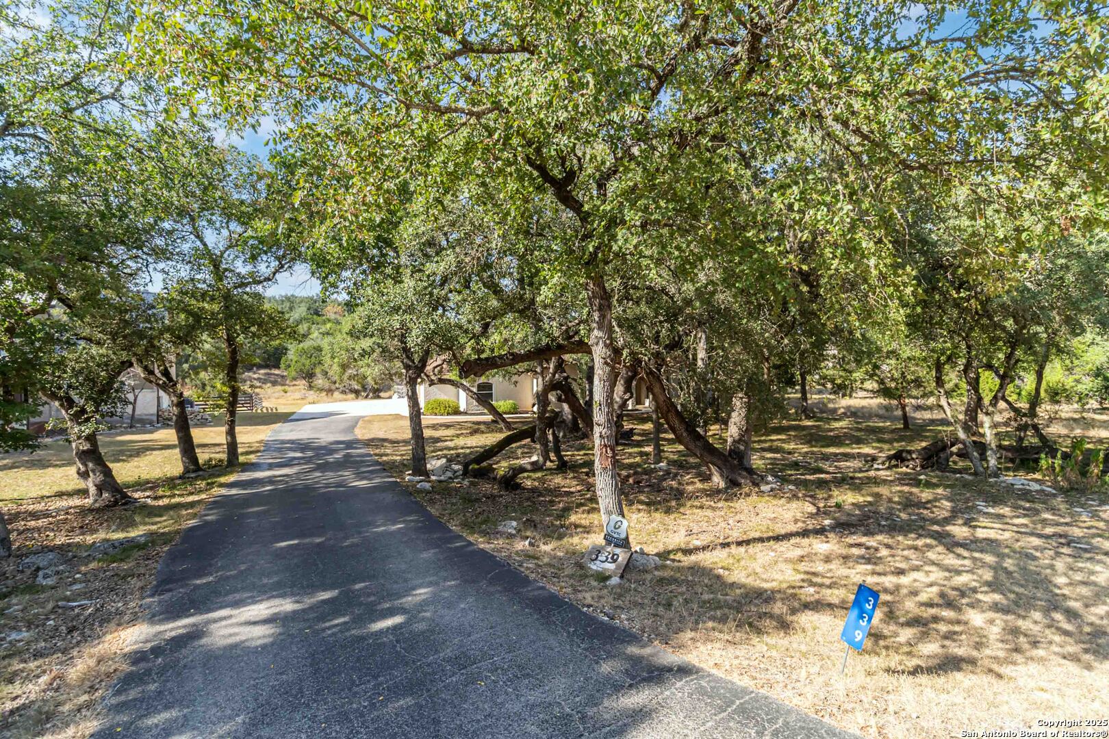 339 Long Meadow Spring Branch, TX 78070 - Photo 3 of 53 a view of a yard with trees