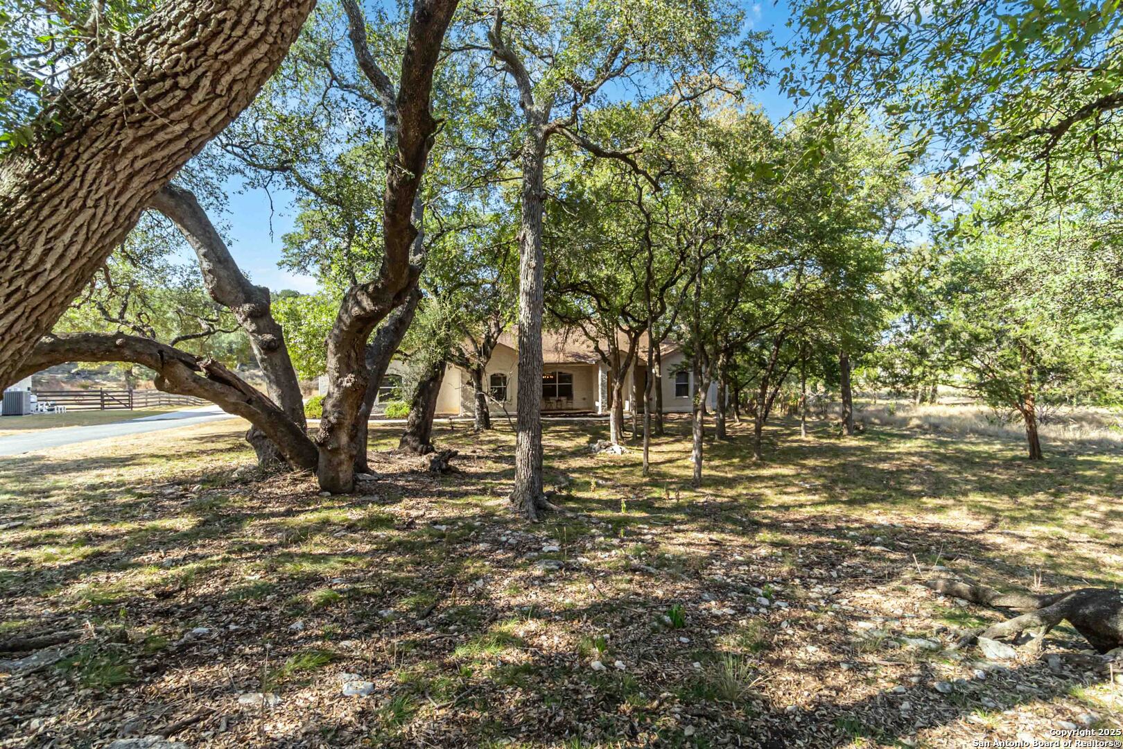 339 Long Meadow Spring Branch, TX 78070 - Photo 4 of 53 a view of a yard with a tree