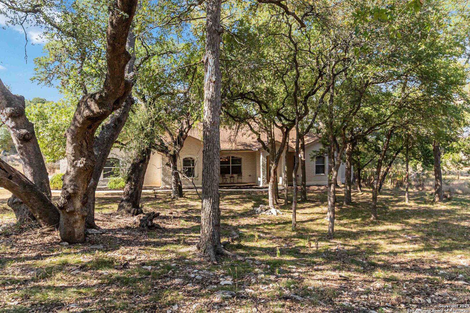 339 Long Meadow Spring Branch, TX 78070 - Photo 5 of 53 a tree in the middle of a yard