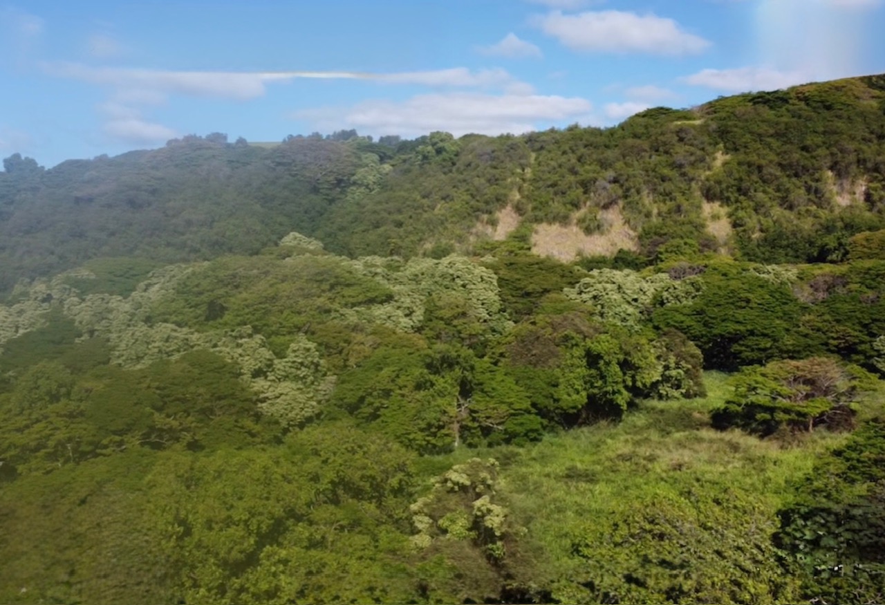 Hilea Road Naalehu, HI 96772 - Photo 2 of 8 Gallery Image 2
