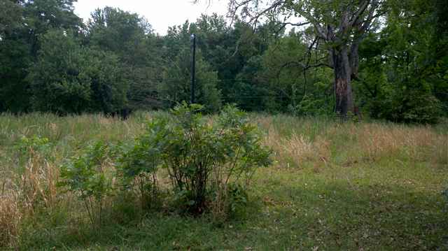 224-226 Mariner Road Belton, SC 29627 - Photo 2 of 10