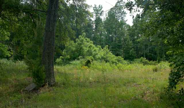 224-226 Mariner Road Belton, SC 29627 - Photo 5 of 10