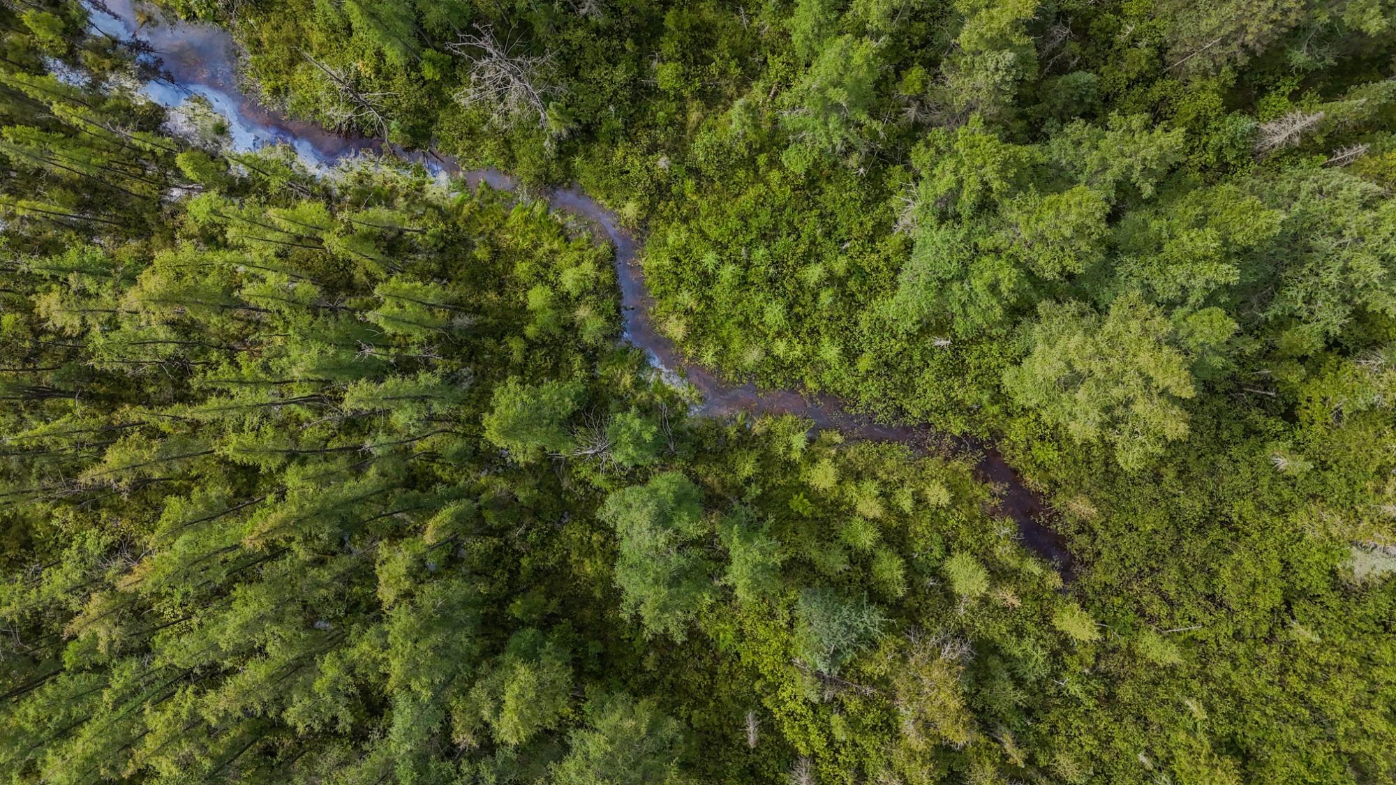 Lot 5 Swamp Lake Road Tomahawk, WI 54487 - Photo 20 of 24 Gallery Image 20