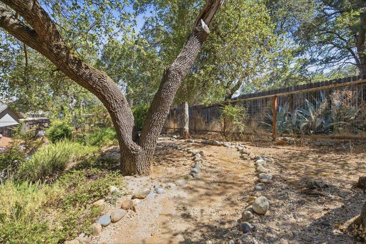2861 Osborne Road Cameron Park, CA 95682 - Photo 41 of 54