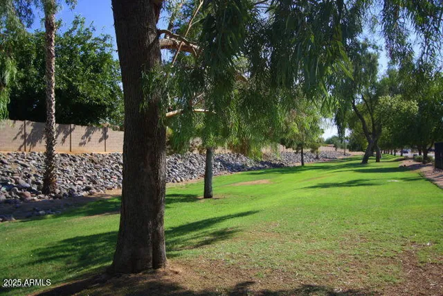a view of a swimming pool with a yard