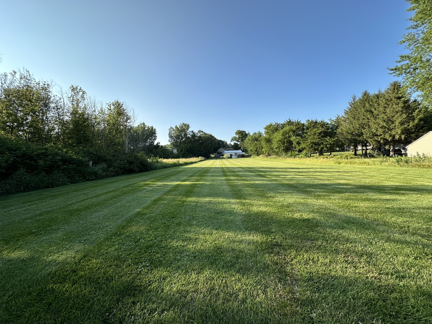 15445 Lincoln Road Morrison, IL 61270 - Photo 25 of 29 a view of a grassy field with trees in the background