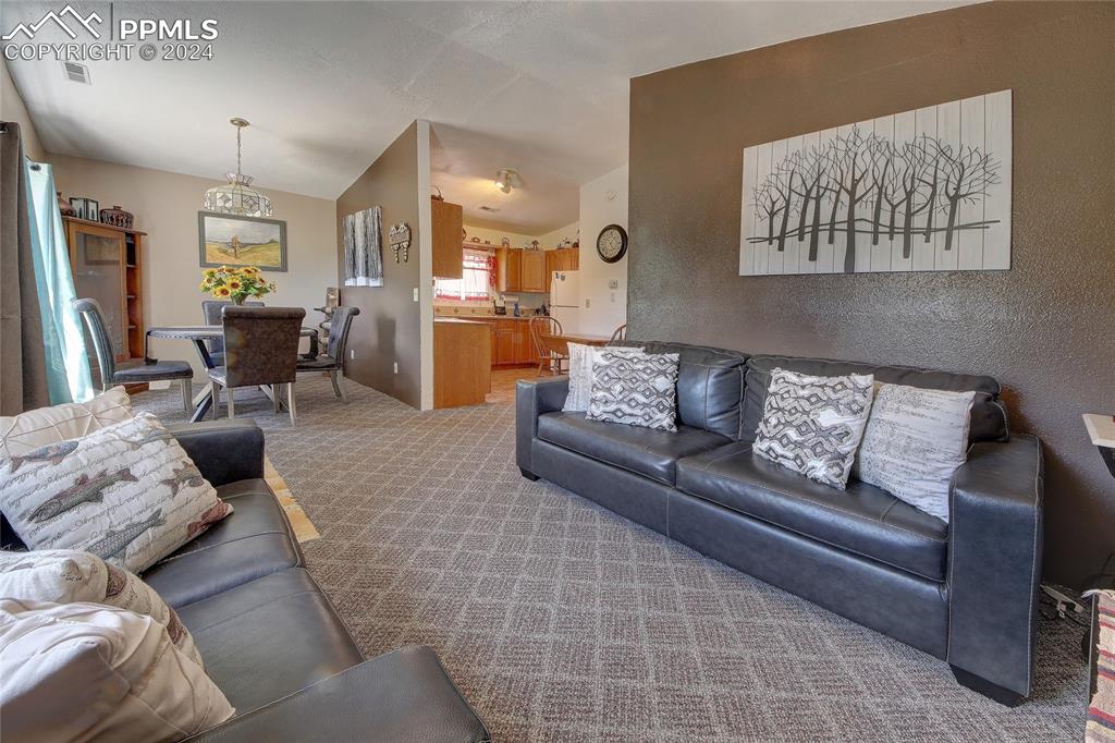 68 Valley Road Divide, CO 80814 - Photo 16 of 38 View of carpeted living room