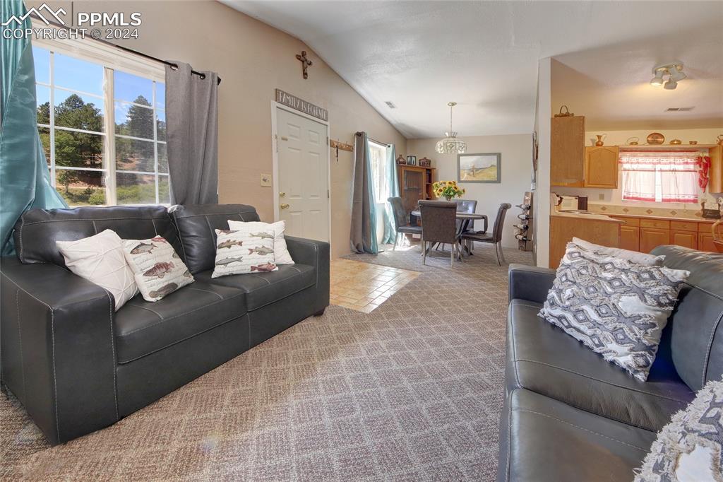 68 Valley Road Divide, CO 80814 - Photo 17 of 38 Carpeted living room with vaulted ceiling and plenty of natural light