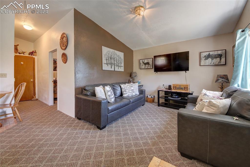 68 Valley Road Divide, CO 80814 - Photo 18 of 38 Carpeted living room with vaulted ceiling