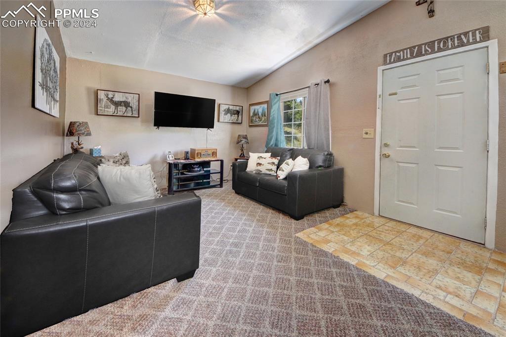 68 Valley Road Divide, CO 80814 - Photo 19 of 38 Tiled living room with lofted ceiling