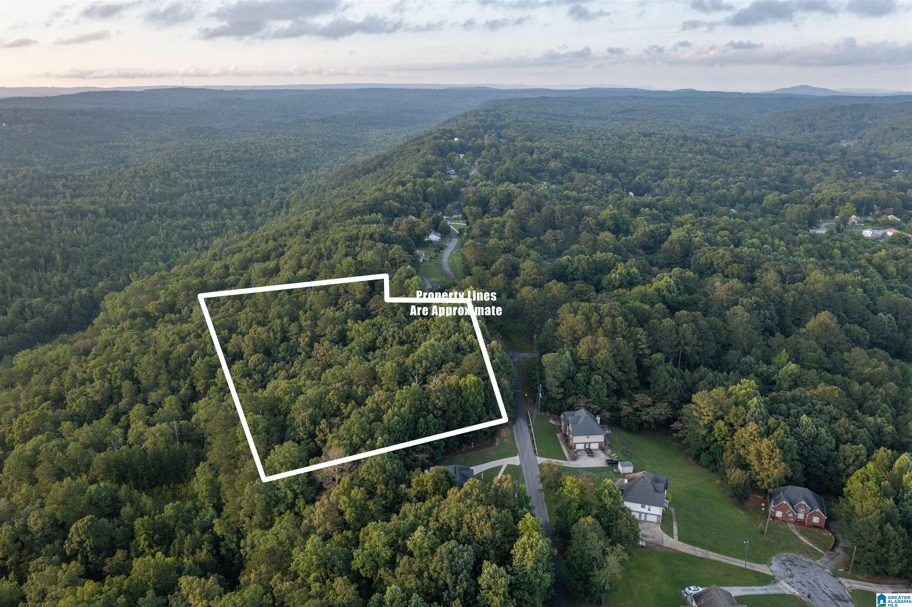 0 Levine Road, Unit X Odenville, AL 35120 - Photo 1 of 16