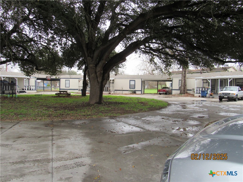 1650 Terminal Loop Road McQueeney, TX 78123 - Photo 5 of 5 a tree in front of a white house