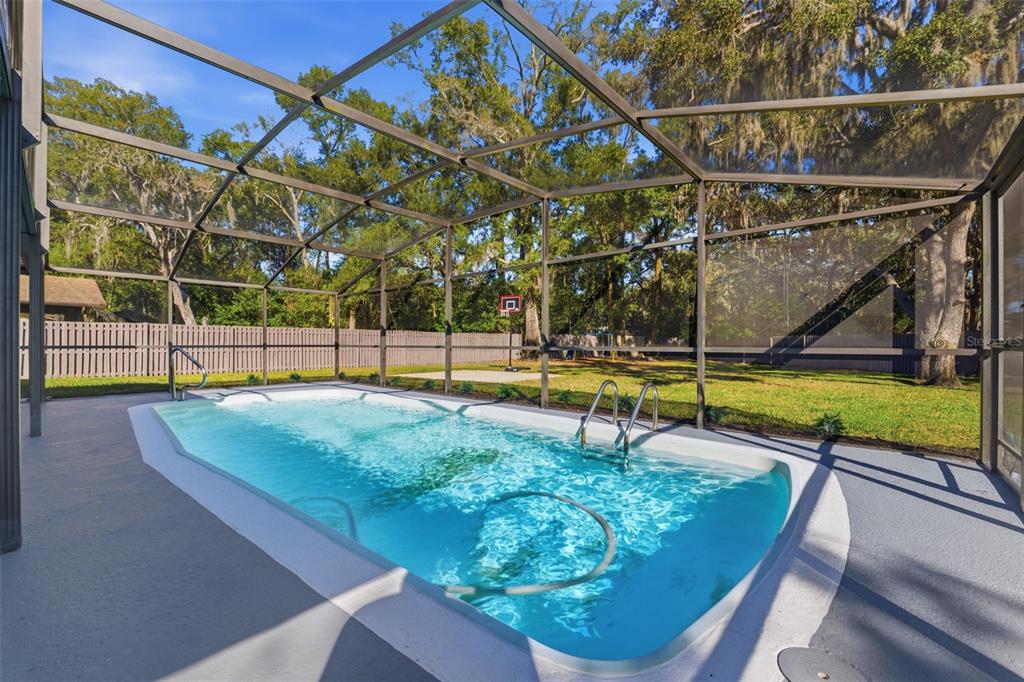 12515 Shadow Ridge Boulevard Hudson, FL 34669 - Photo 31 of 43 a view of a backyard with swimming pool