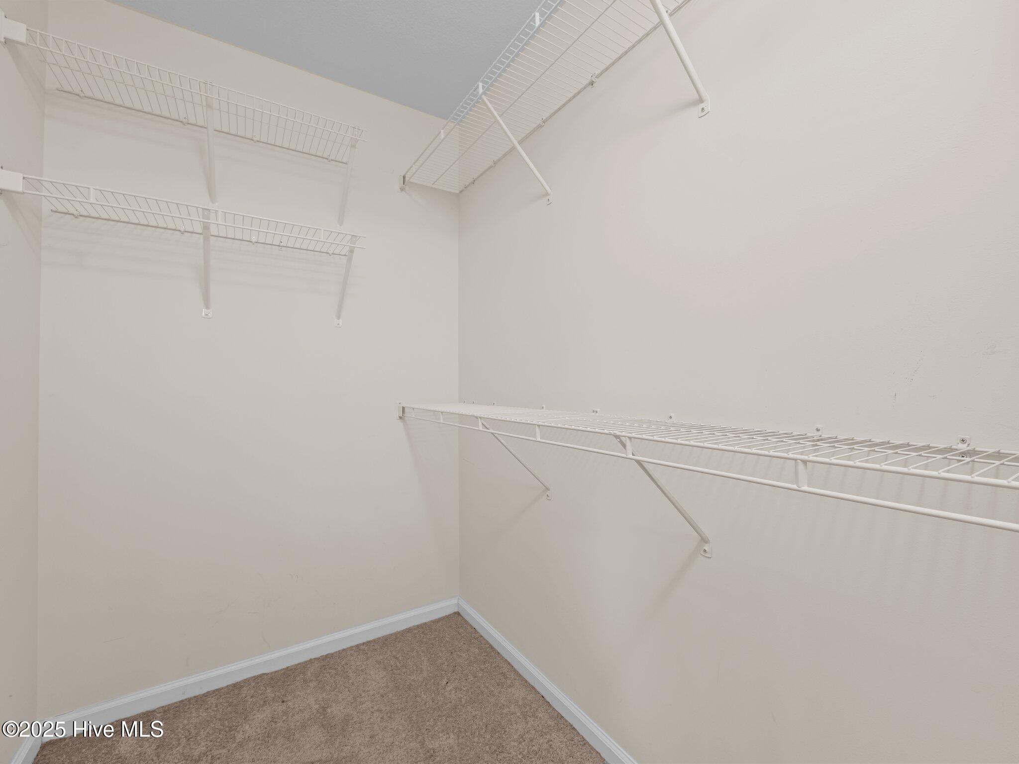 308 Springcreek Court Hubert, NC 28539 - Photo 24 of 50 Primary Closet