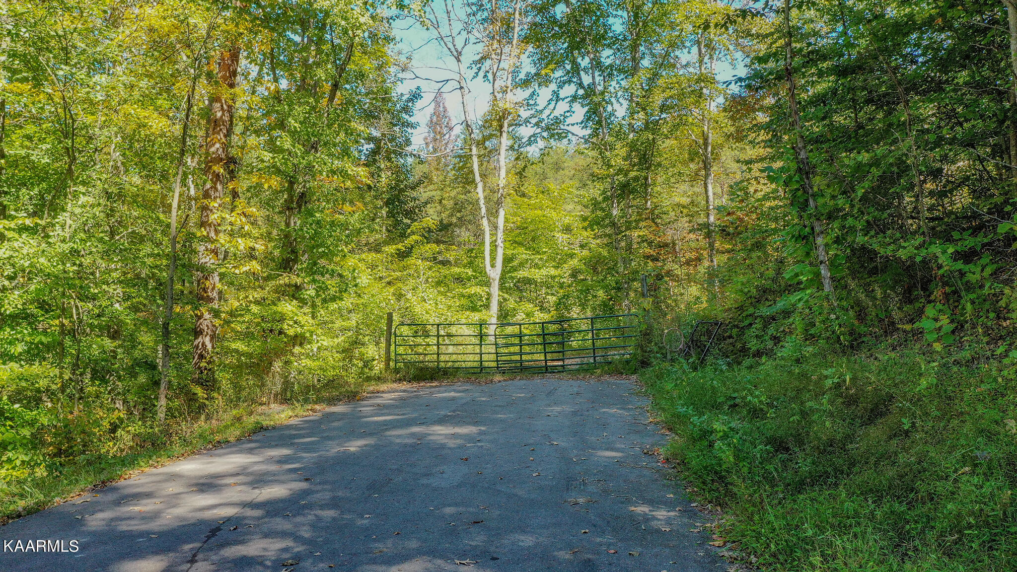 Johnson Farm Road Maynardville, TN 37807 - Photo 1 of 11 ROAD FRONT