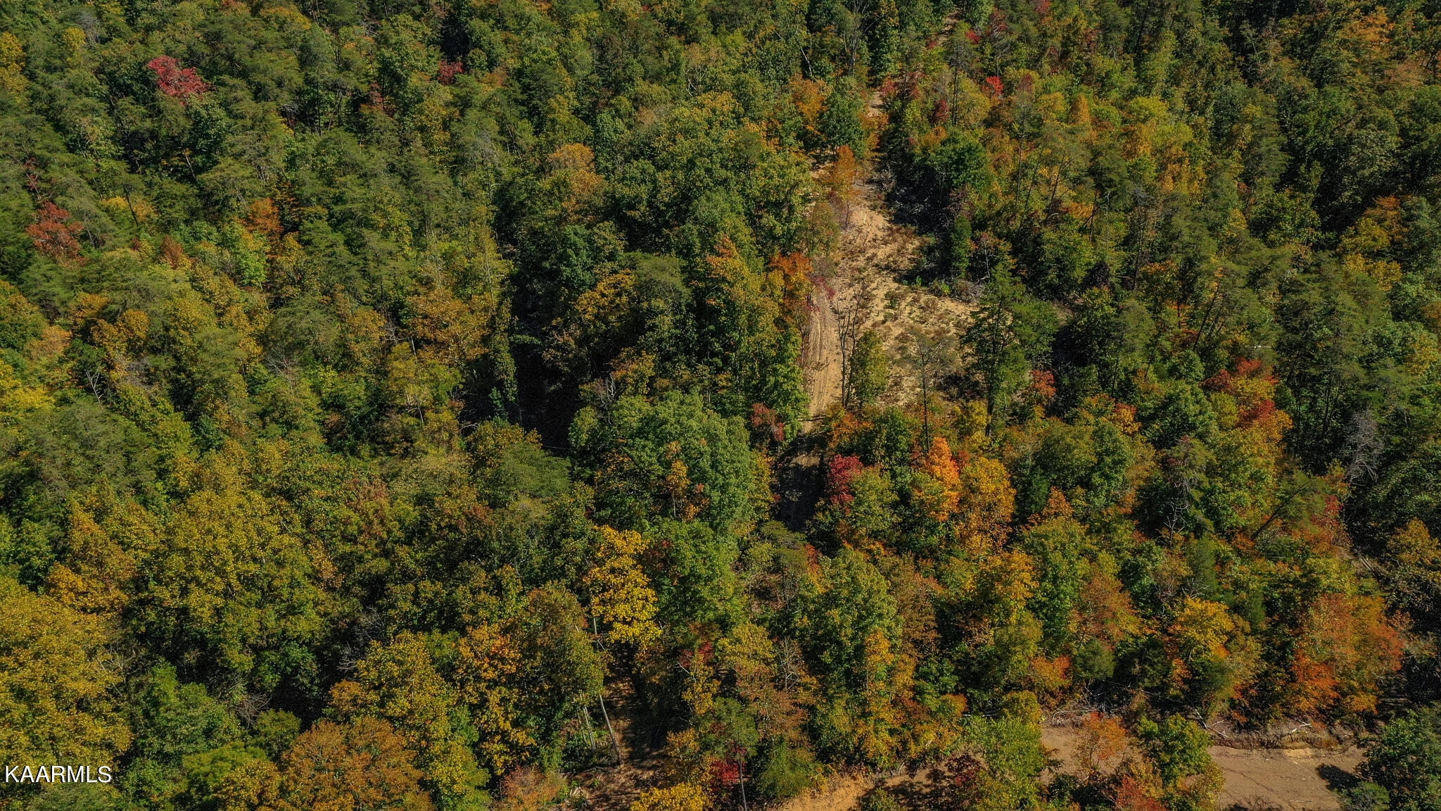 Johnson Farm Road Maynardville, TN 37807 - Photo 5 of 11 DRONE