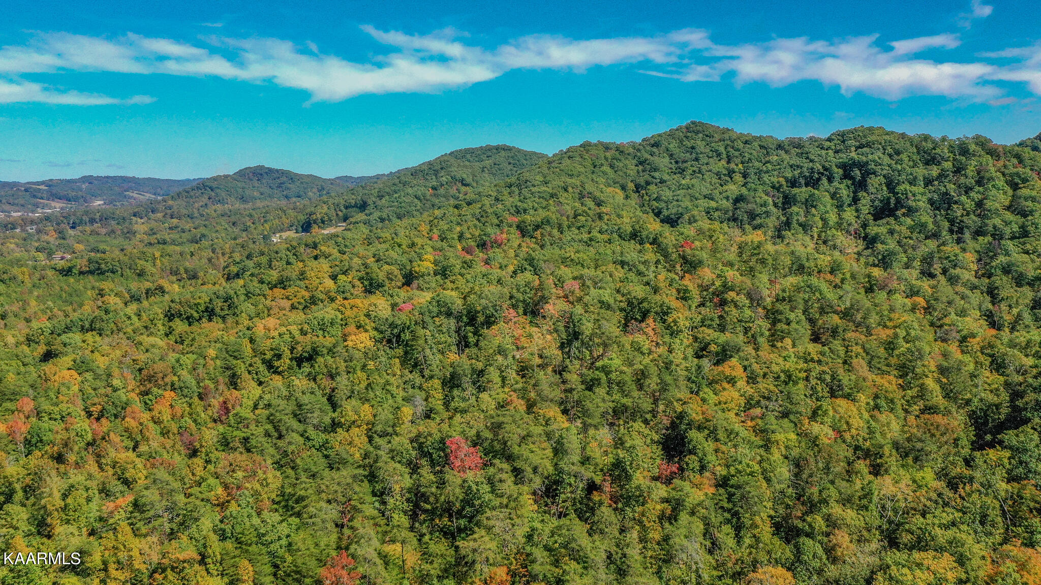 Johnson Farm Road Maynardville, TN 37807 - Photo 10 of 11 DRONE