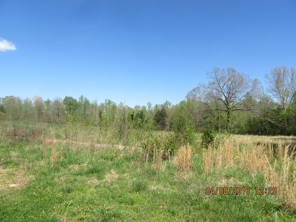 309 R P Cox Road Liberty, NC 27298 - Photo 13 of 15 Gallery Image 13