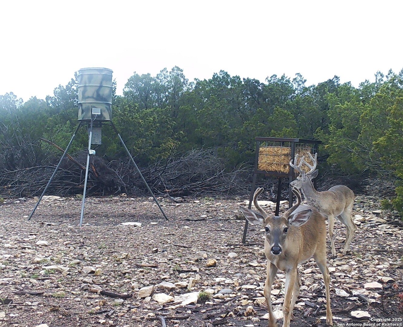 1024 SD 63005 Del Rio, TX 78840 - Photo 18 of 33