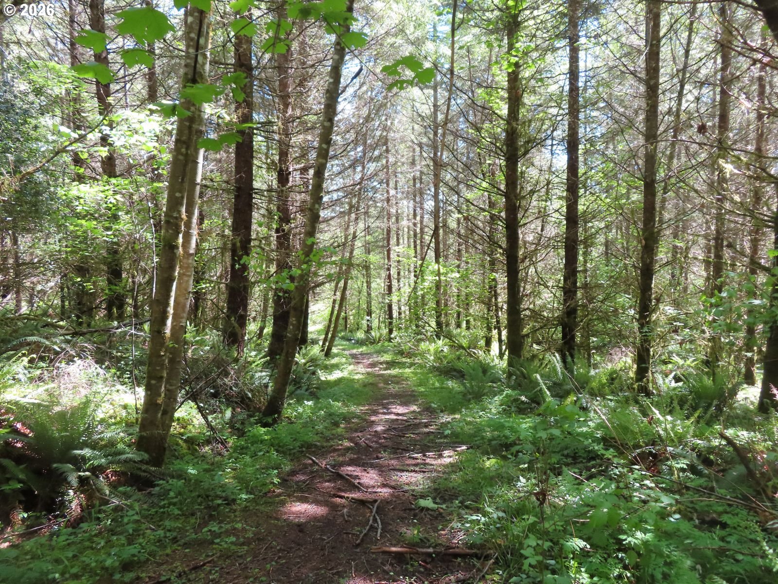 Hockett Road Onalaska, WA 98570 - Photo 23 of 29
