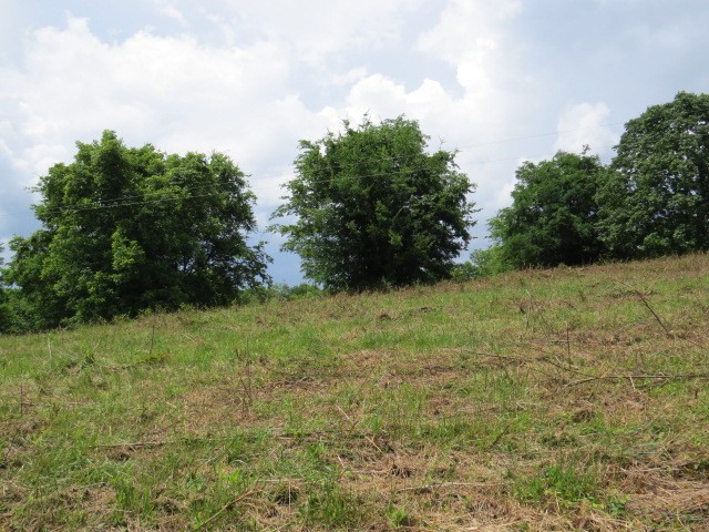 200 Hardy Road Pulaski, TN 38478 - Photo 18 of 20