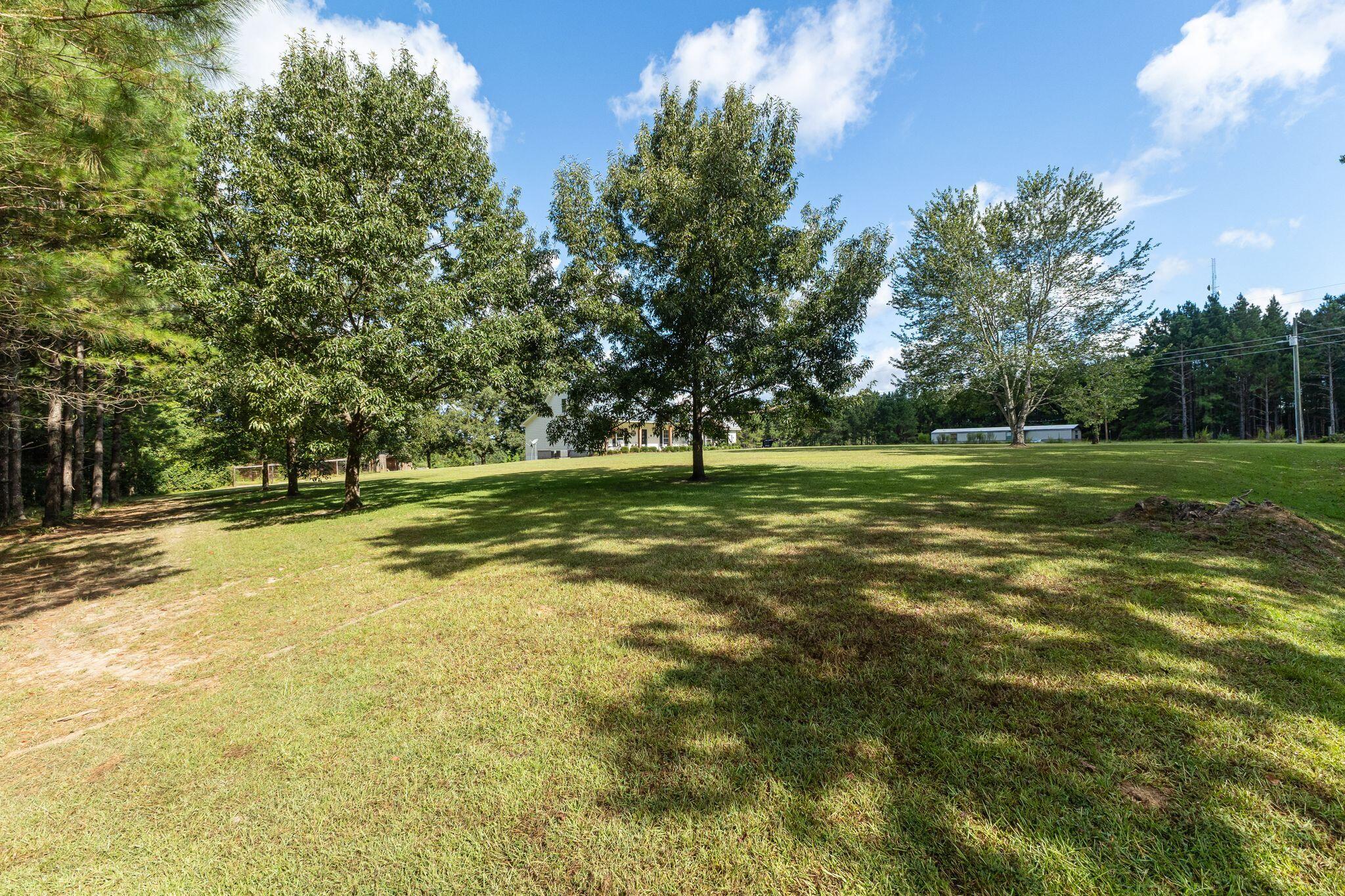 249 Clyde Loftin Road Sumrall, MS 39482 - Photo 2 of 51 Gallery Image 2